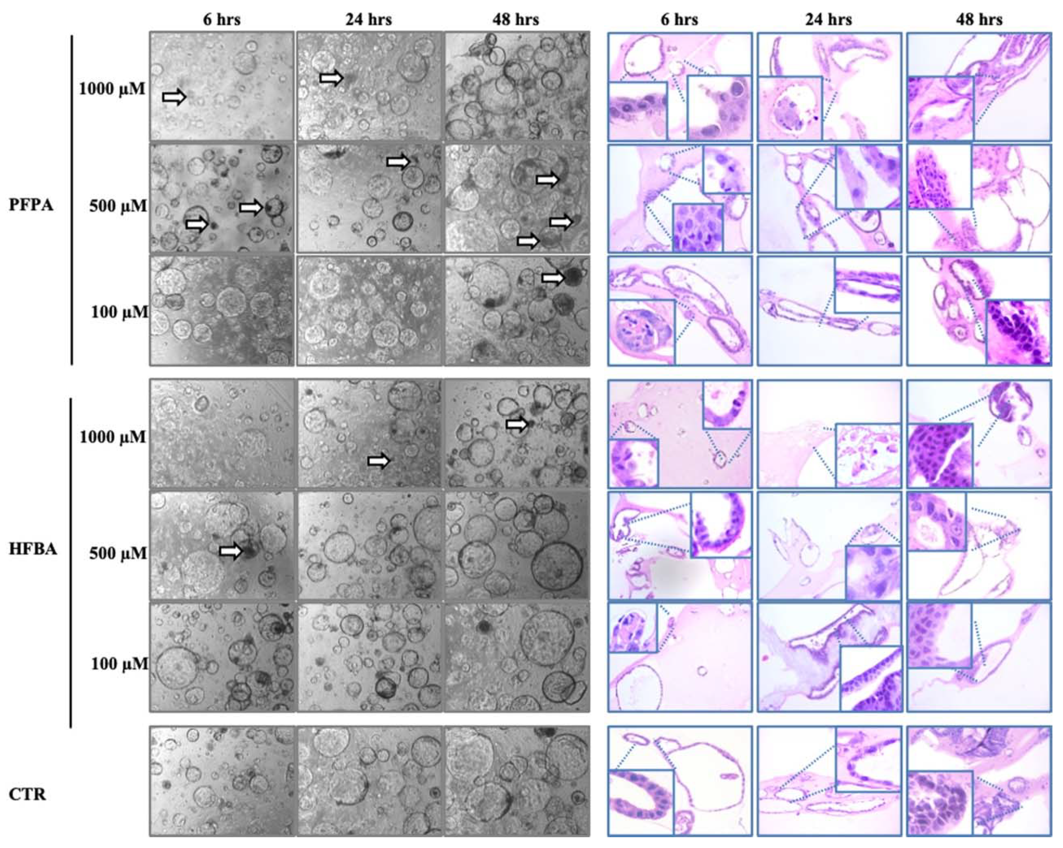 Toxics 10 00091 g002