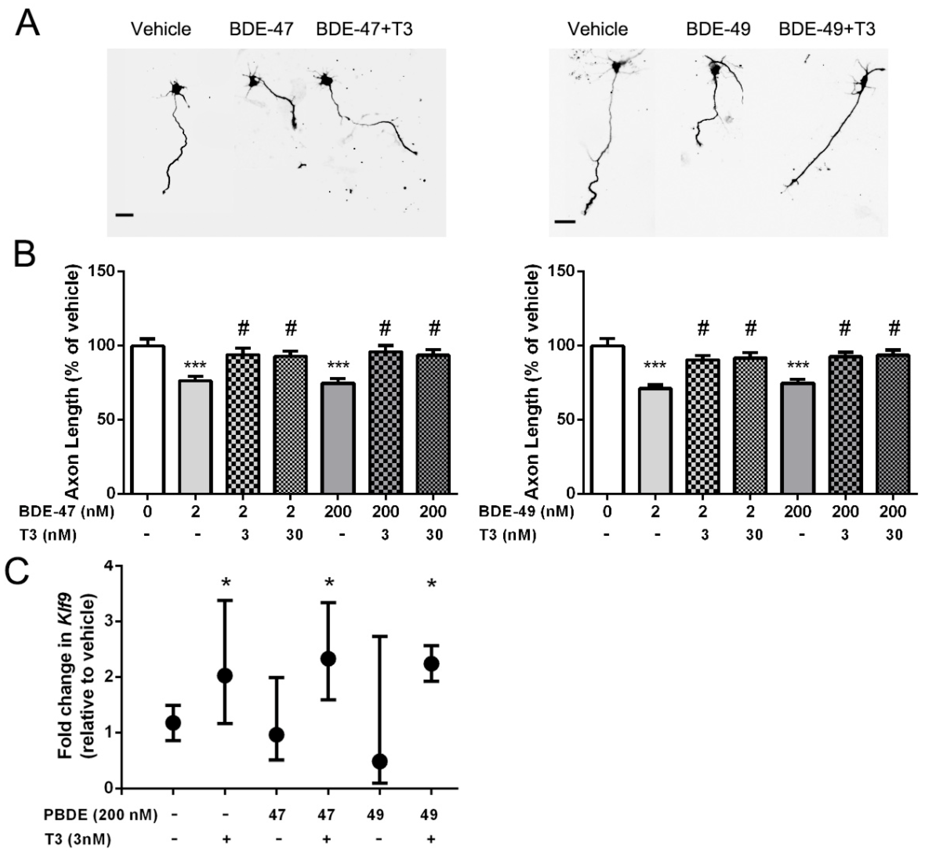 Toxics 10 00092 g001 Toxics 10 00092 g001