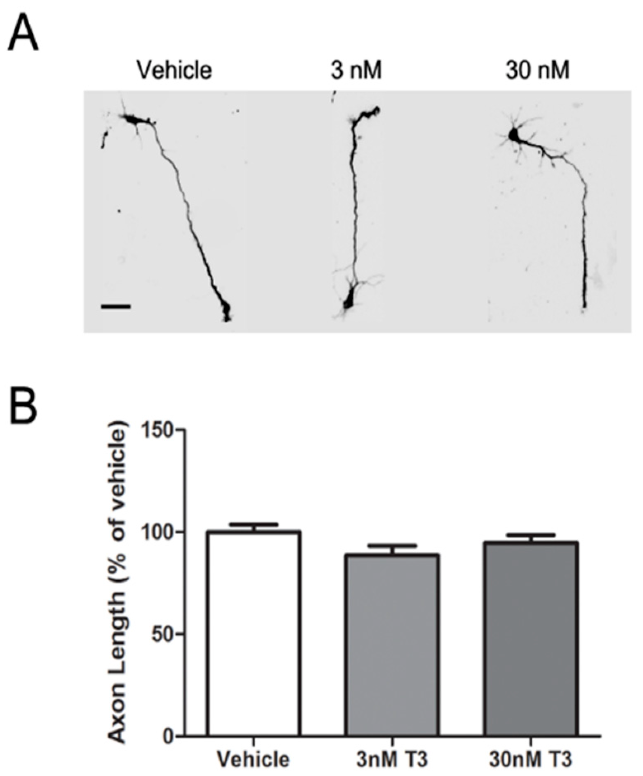 Toxics 10 00092 g002 Toxics 10 00092 g002