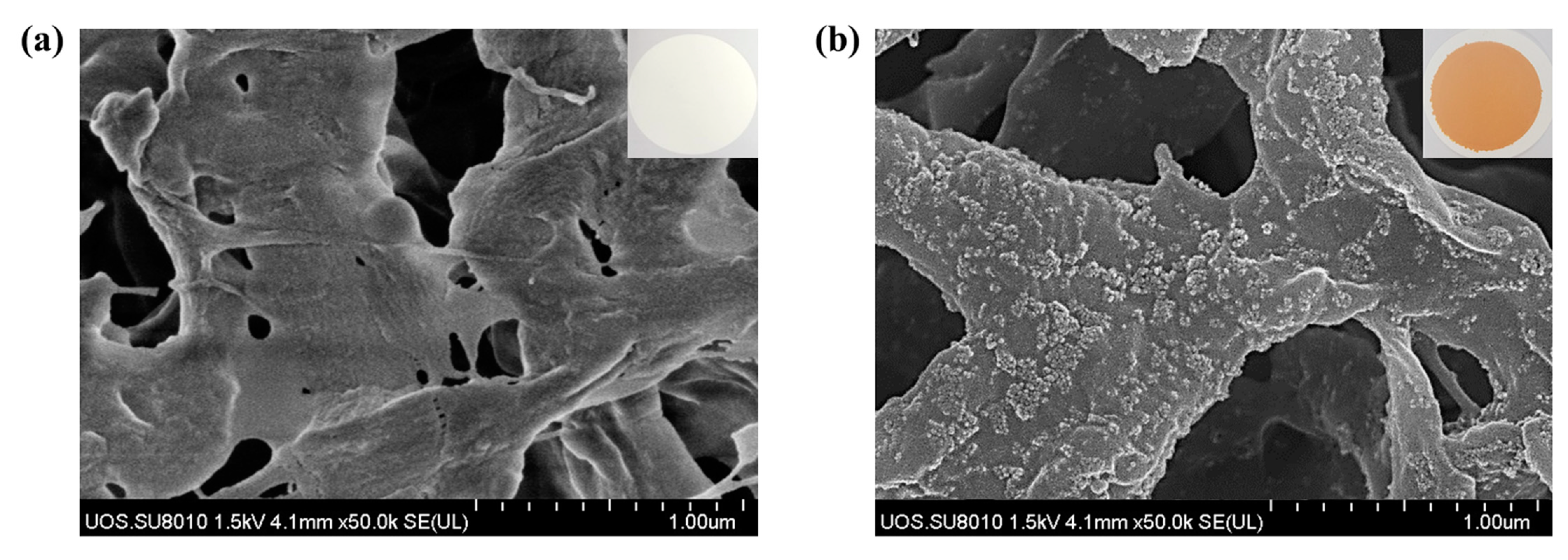 Toxics 10 00098 g002