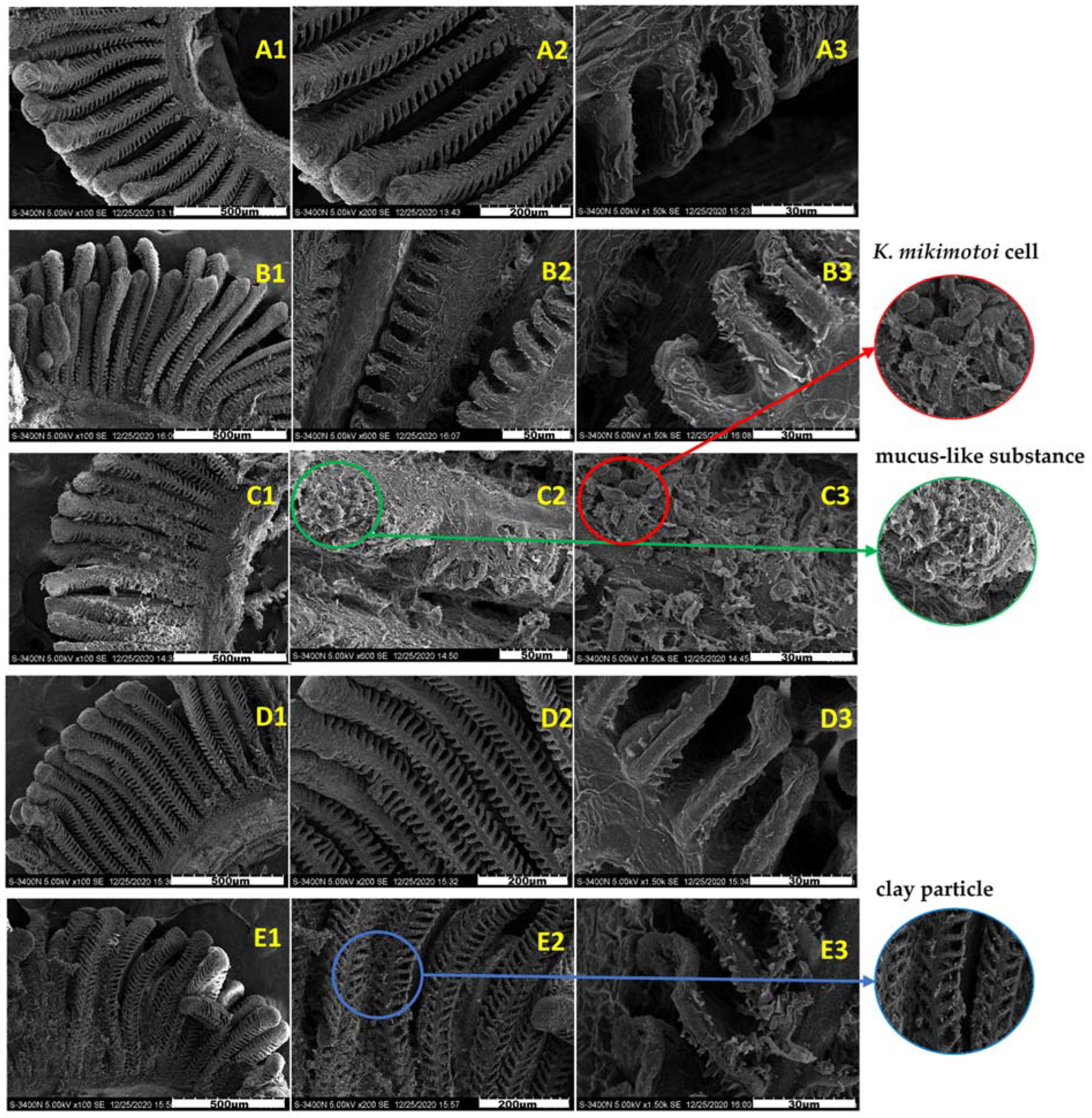 Toxics 10 00105 g003