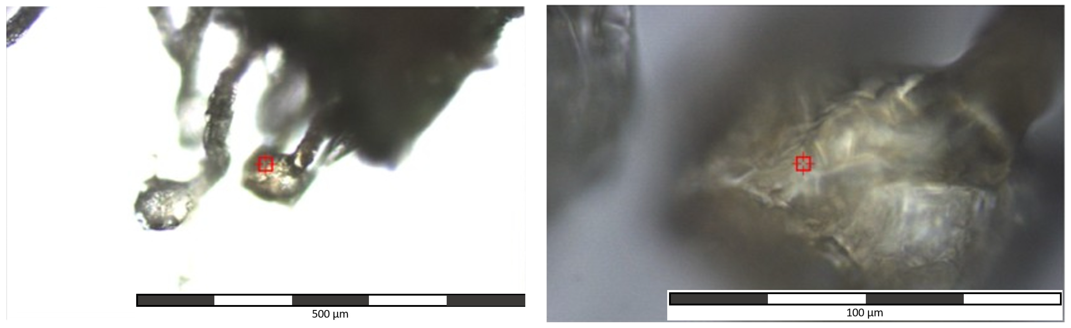 Toxics 10 00115 g002