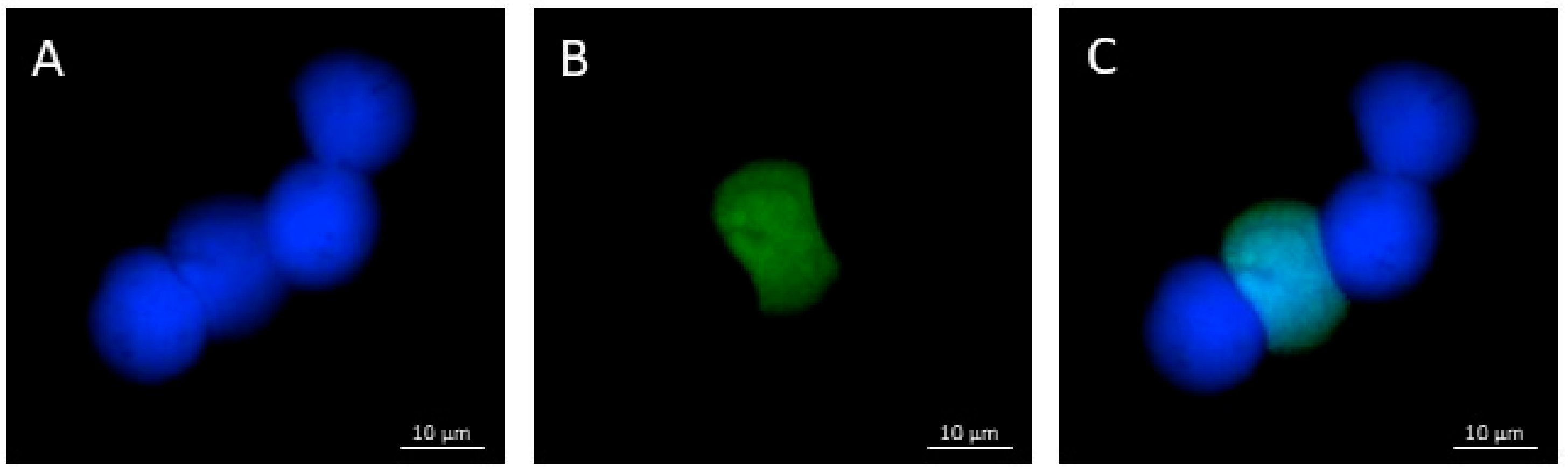 Toxics 10 00132 g004