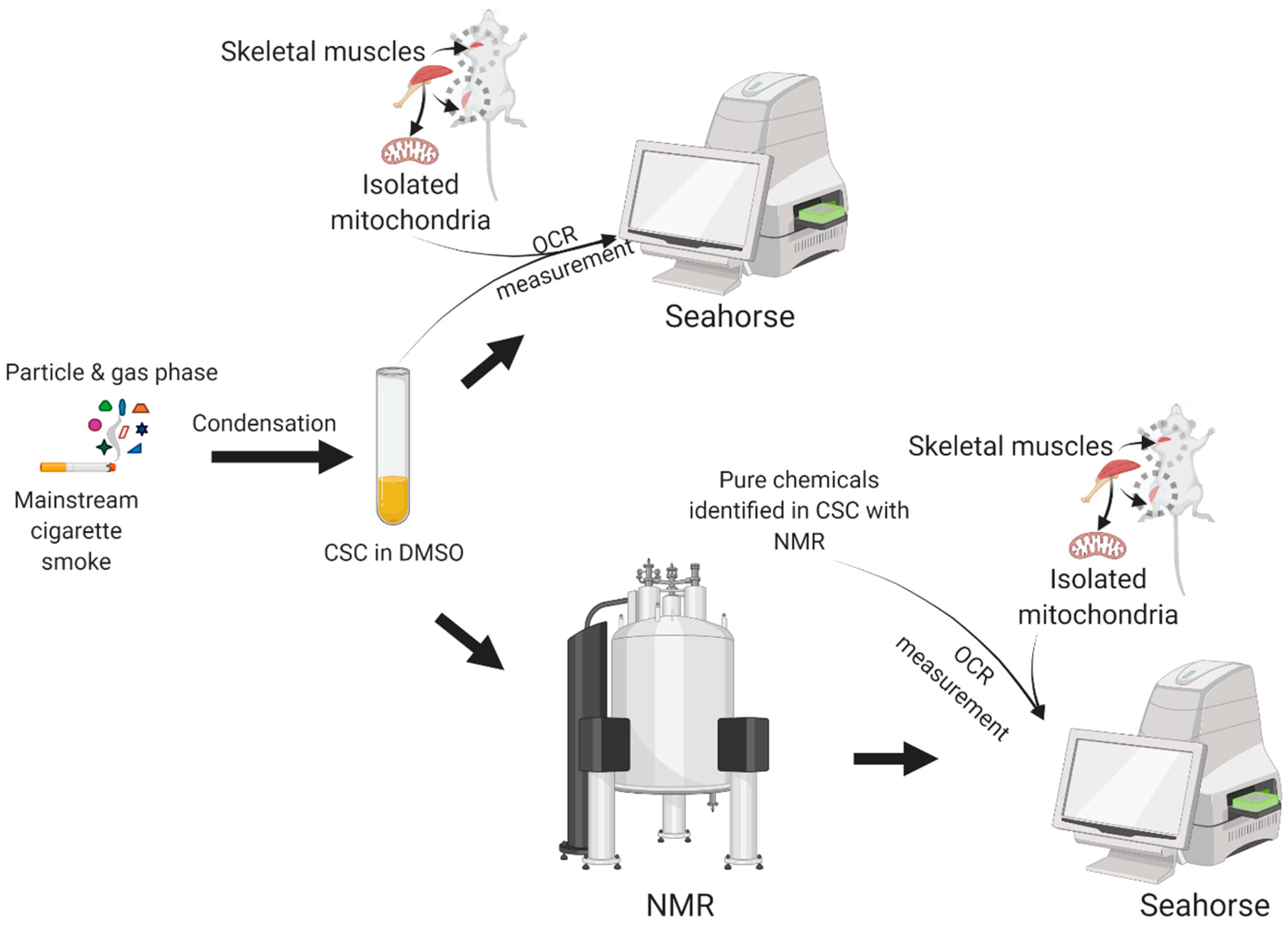 Toxics 10 00140 g001
