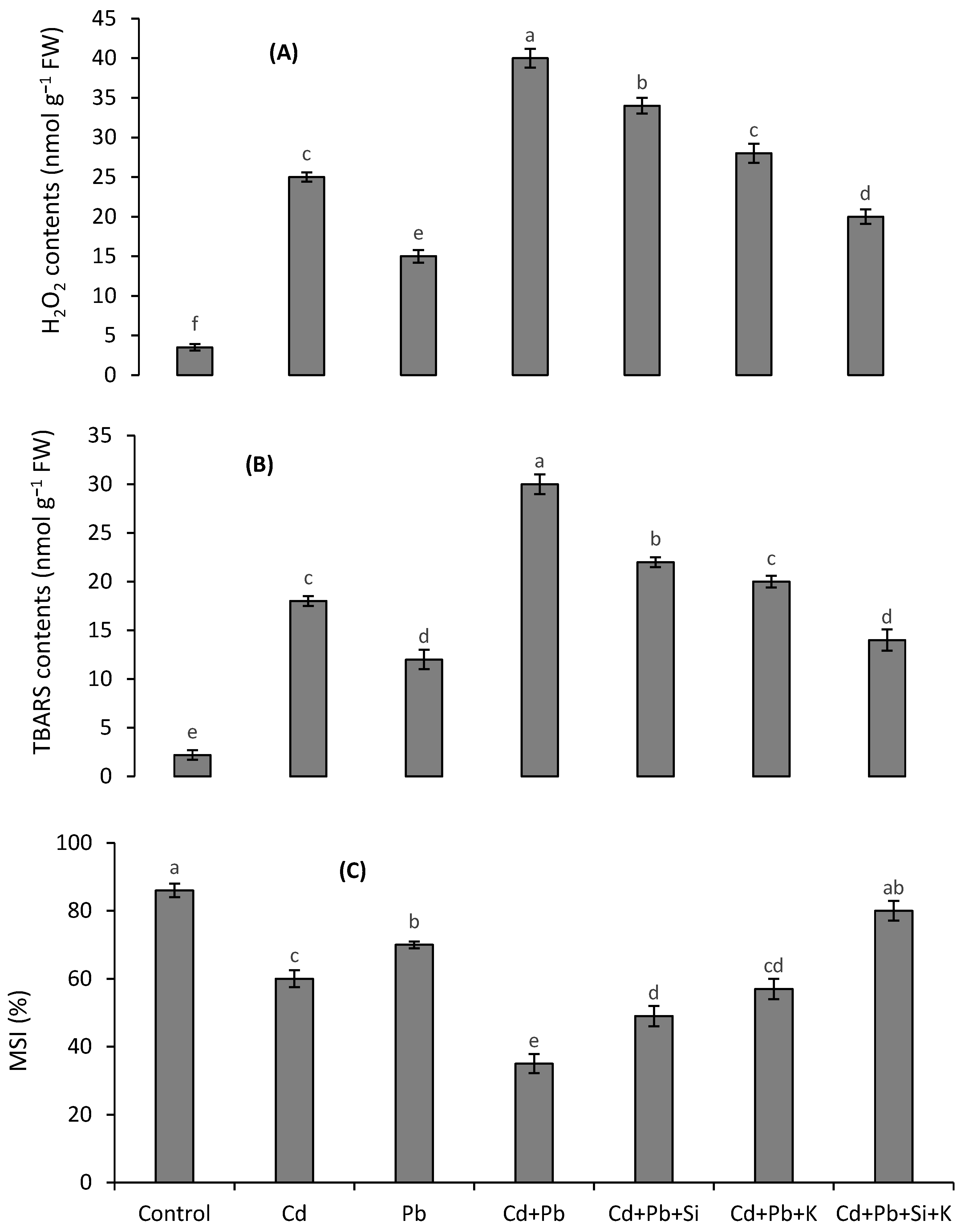 Toxics 10 00169 g001