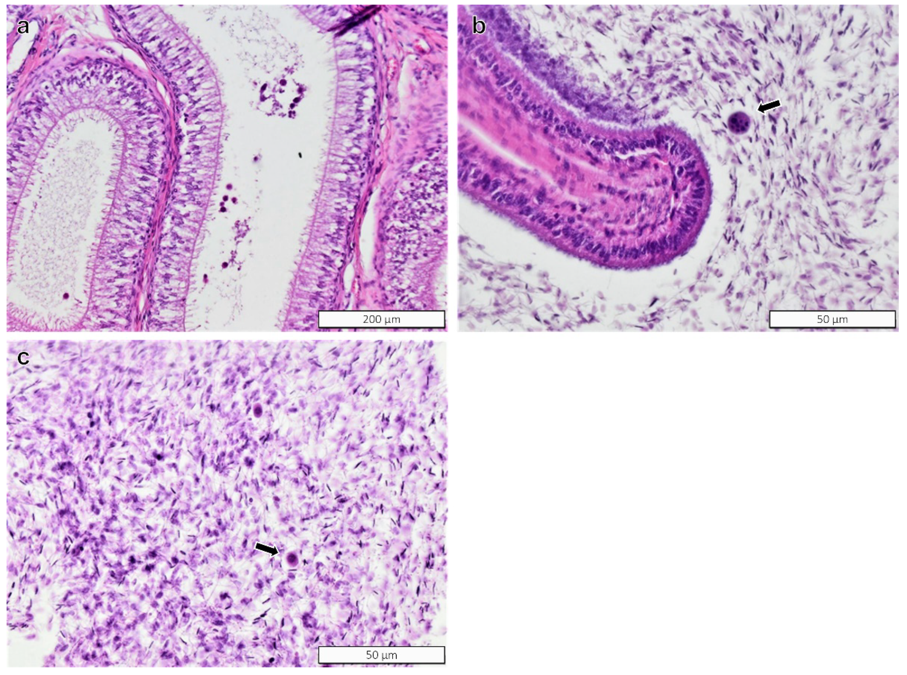 Toxics 10 00224 g004