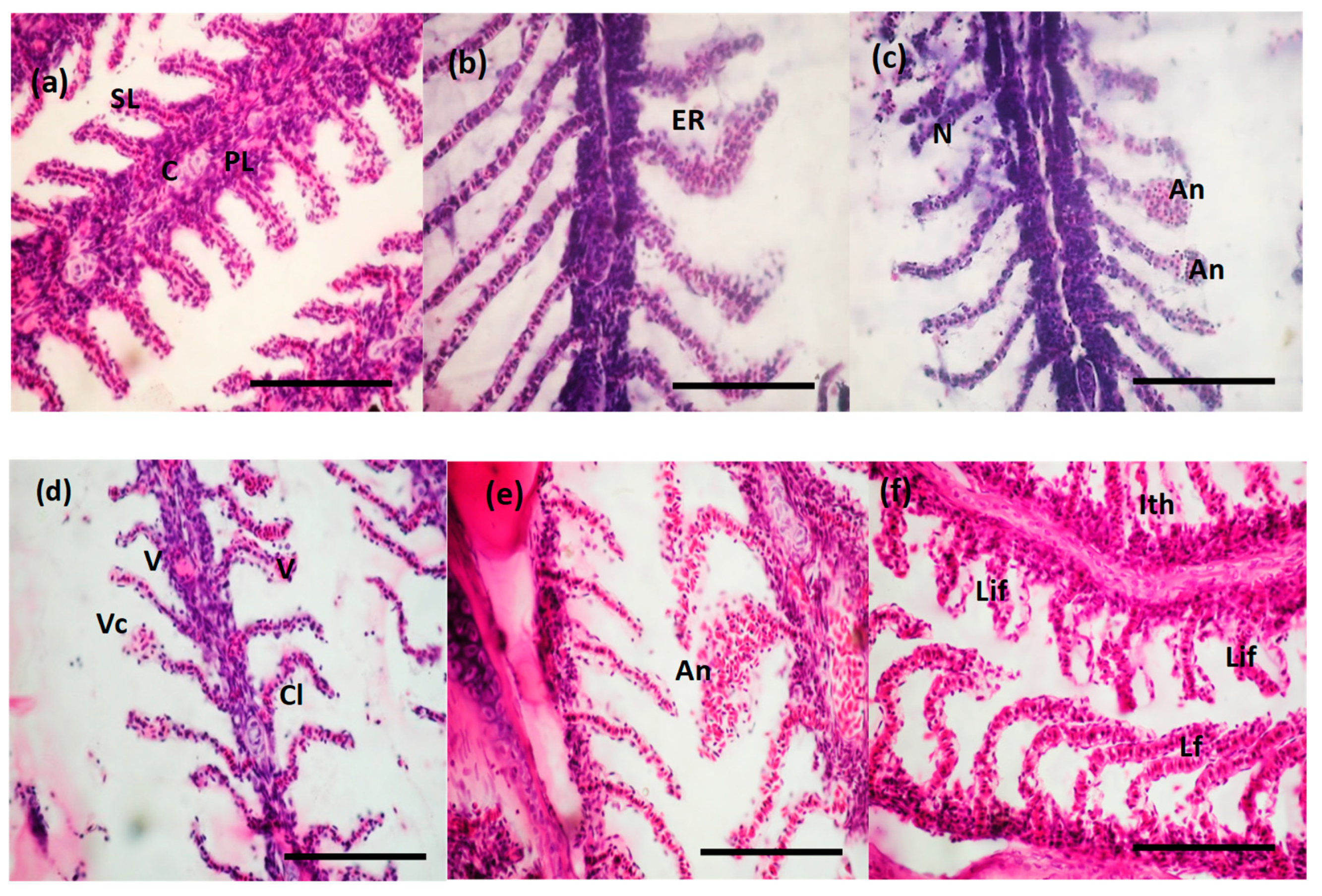 Toxics 10 00227 g005