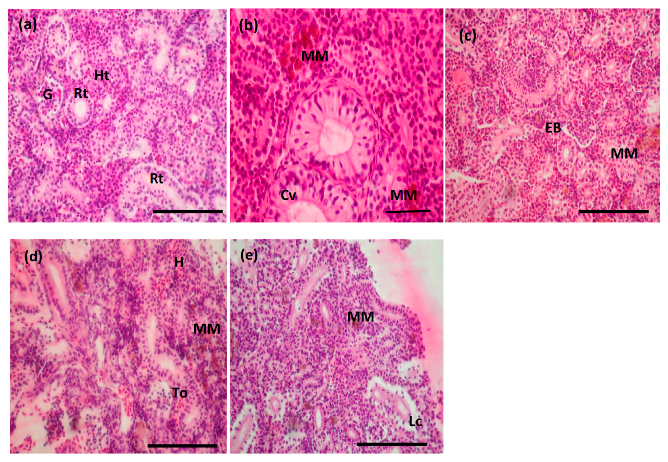 Toxics 10 00227 g006