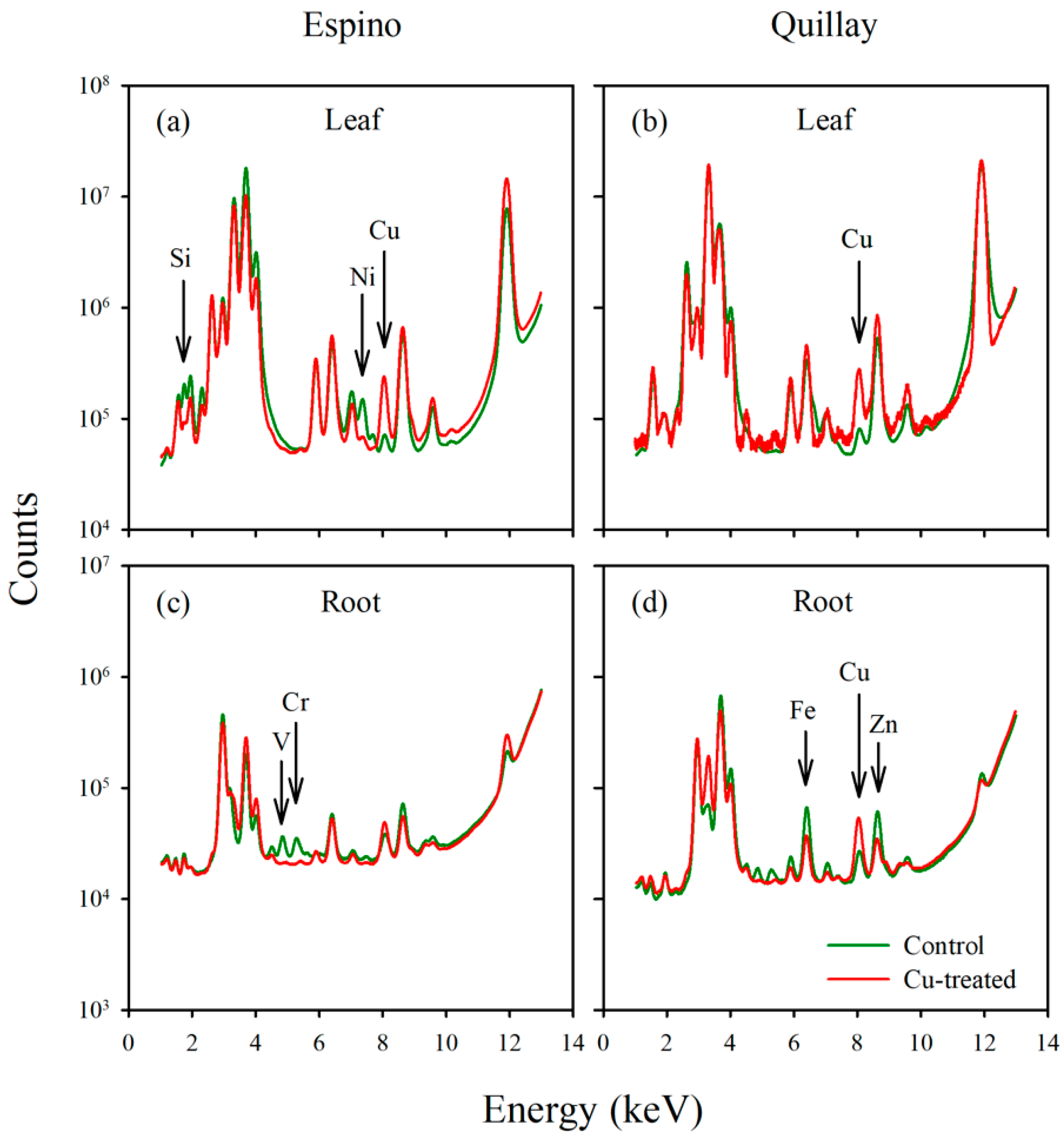 Toxics 10 00237 g004