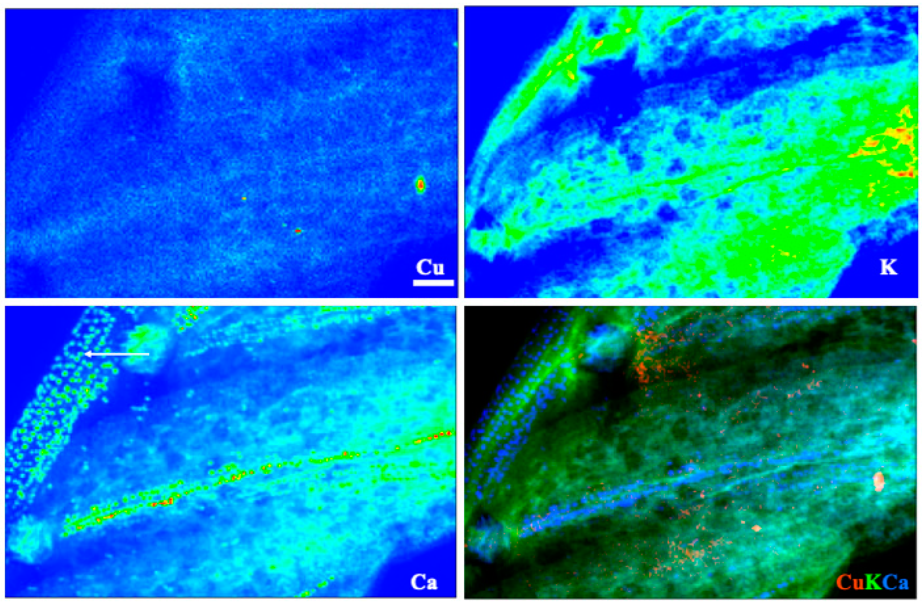 Toxics 10 00237 g005