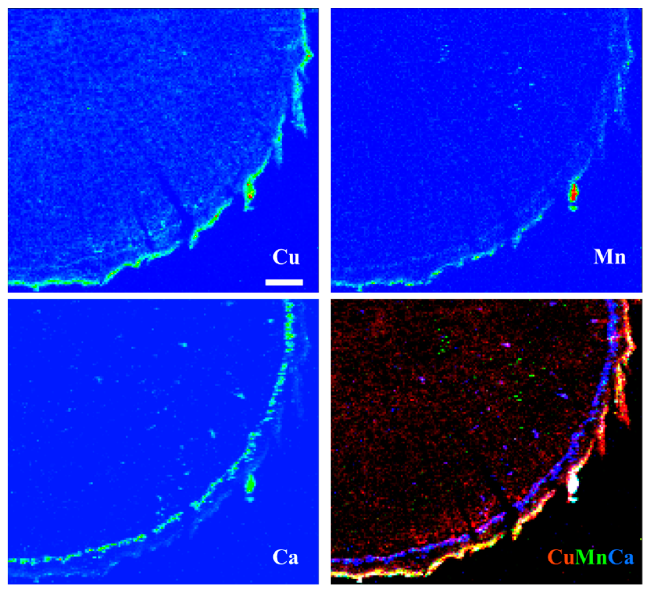 Toxics 10 00237 g008