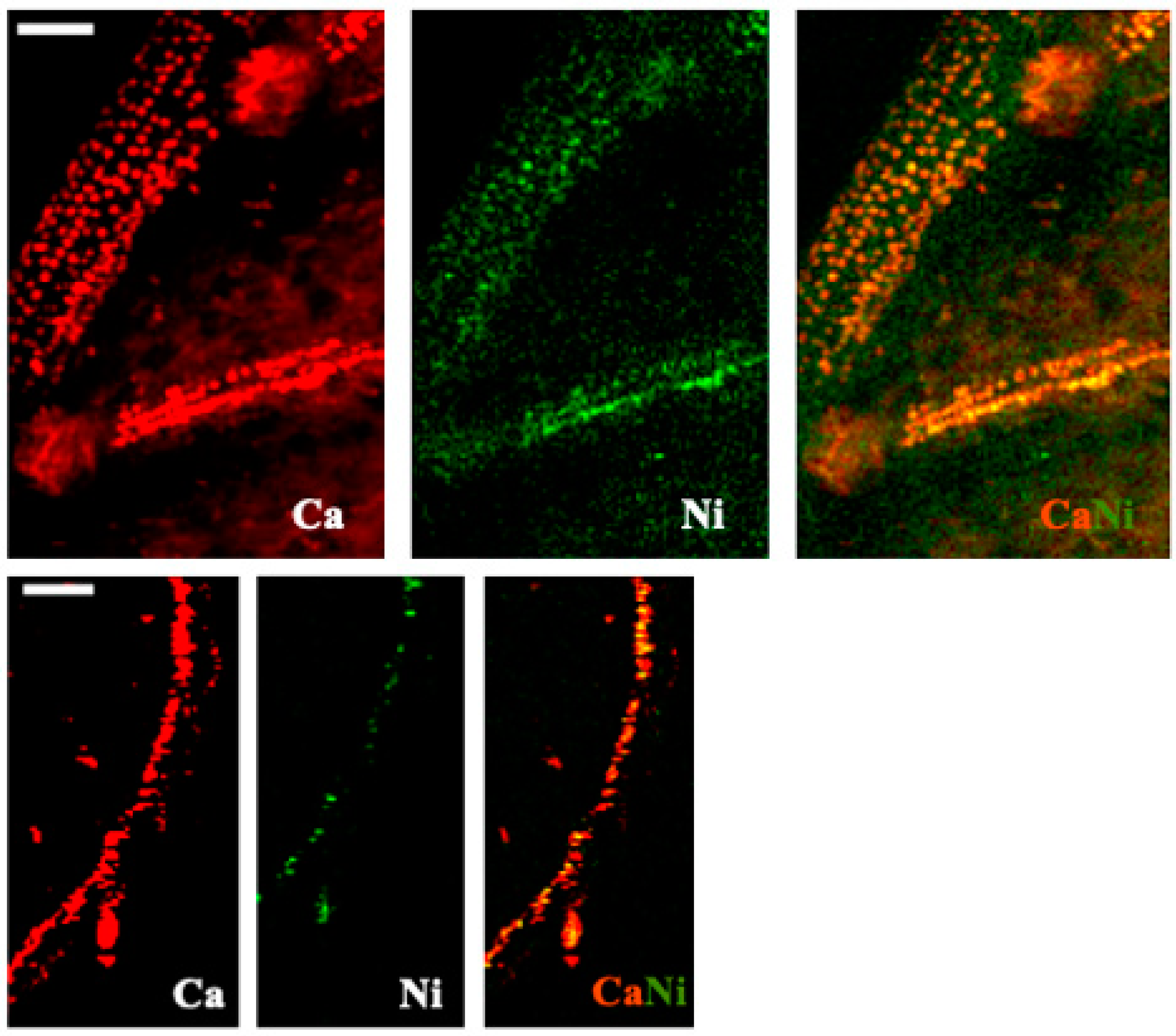 Toxics 10 00237 g009