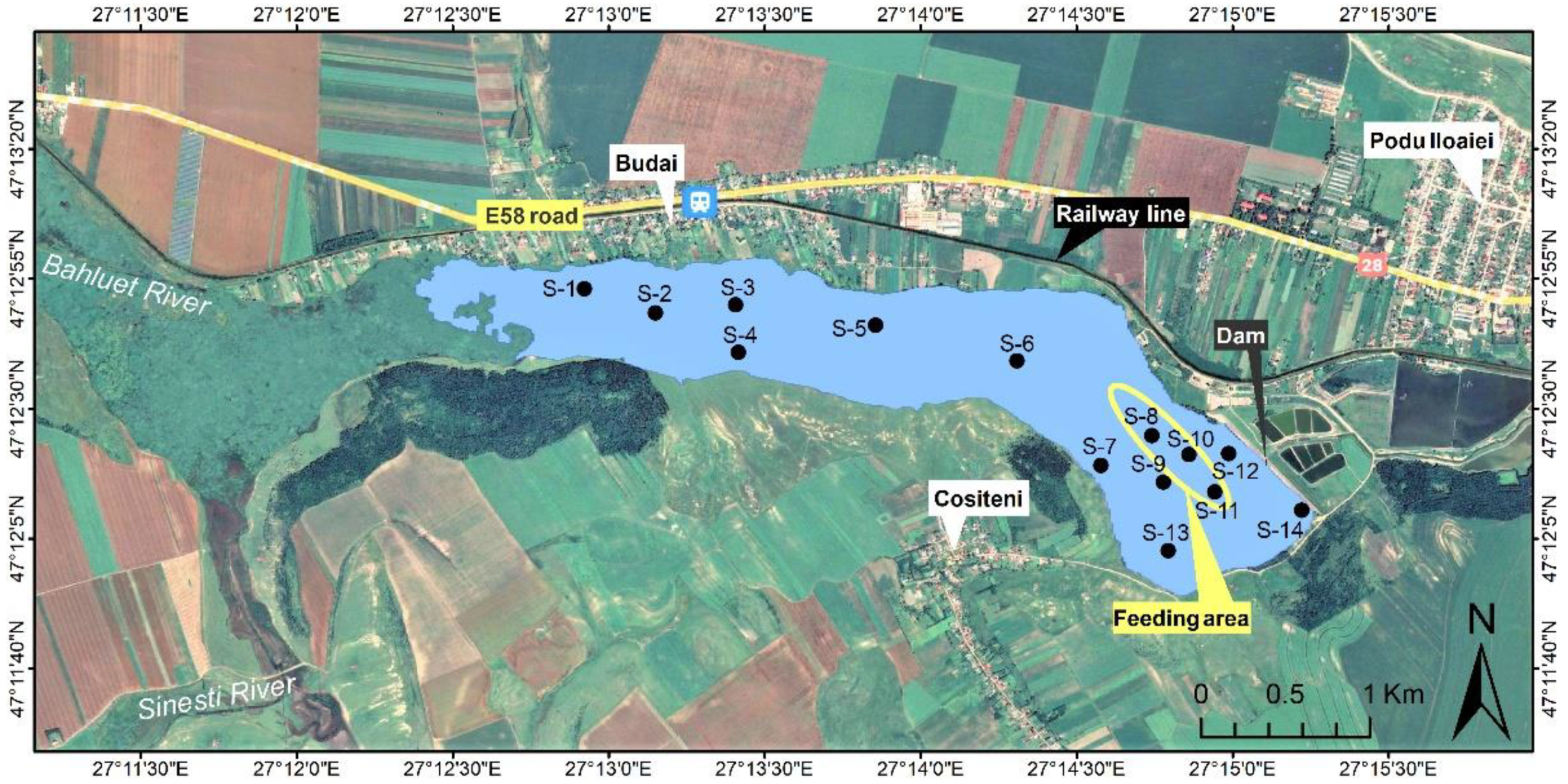 Toxics 10 00242 g001