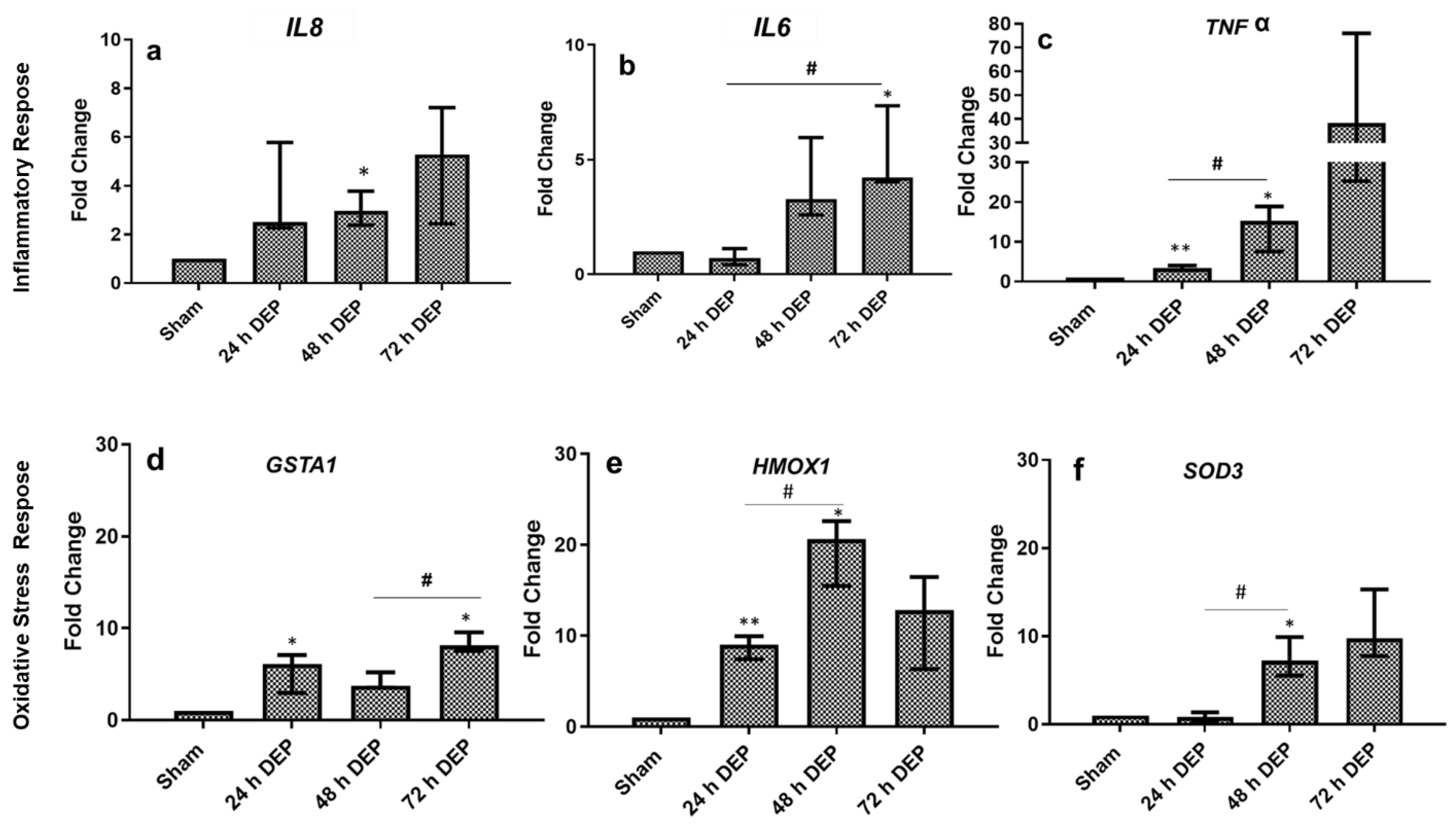 Toxics 10 00277 g004