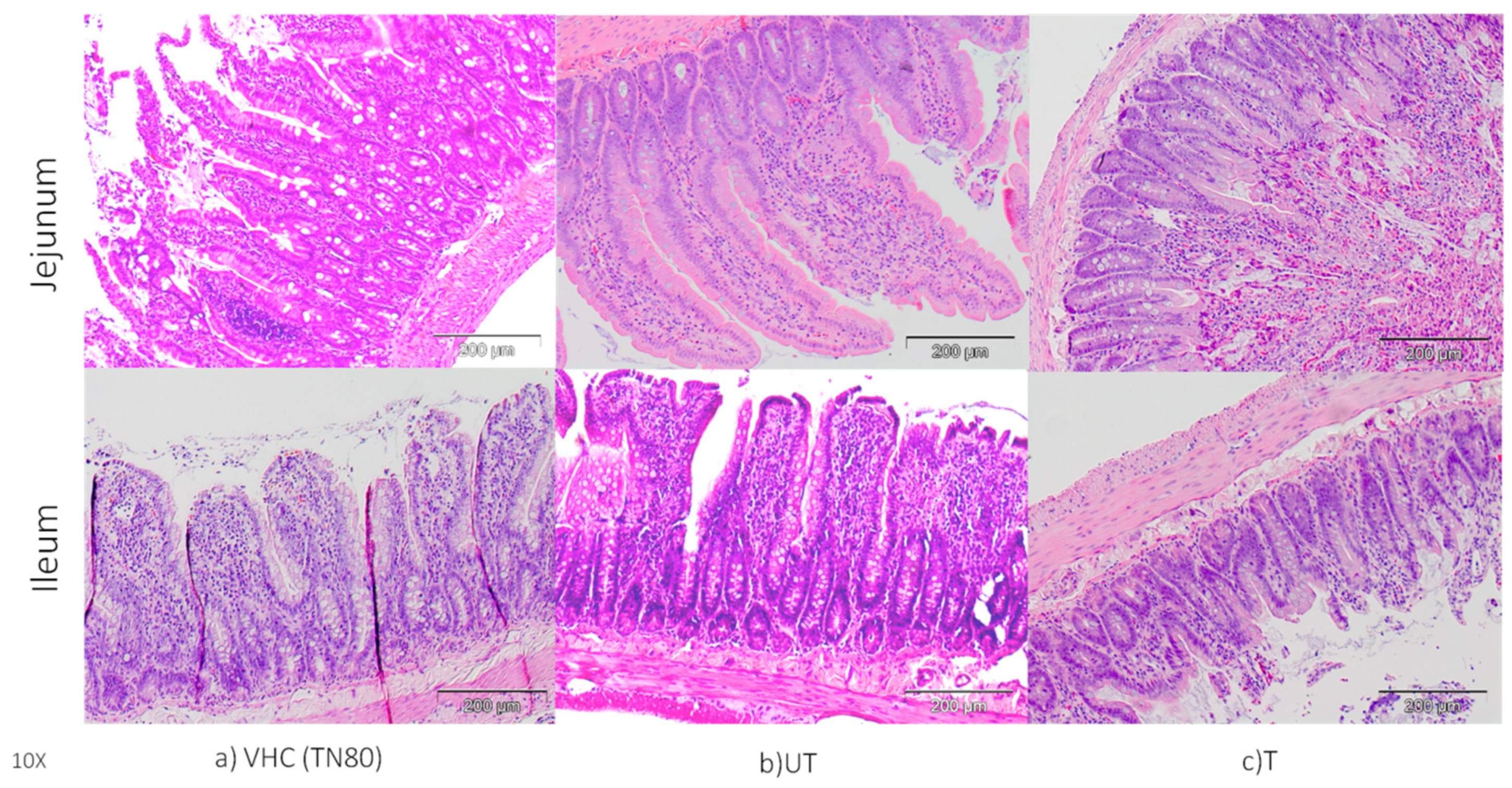 Toxics 10 00296 g003