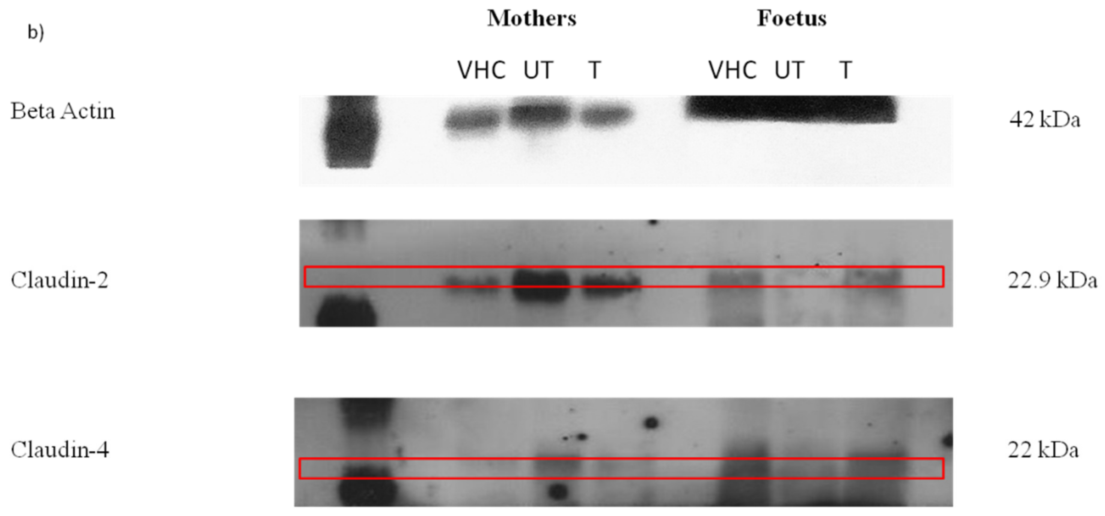 Toxics 10 00296 g006b