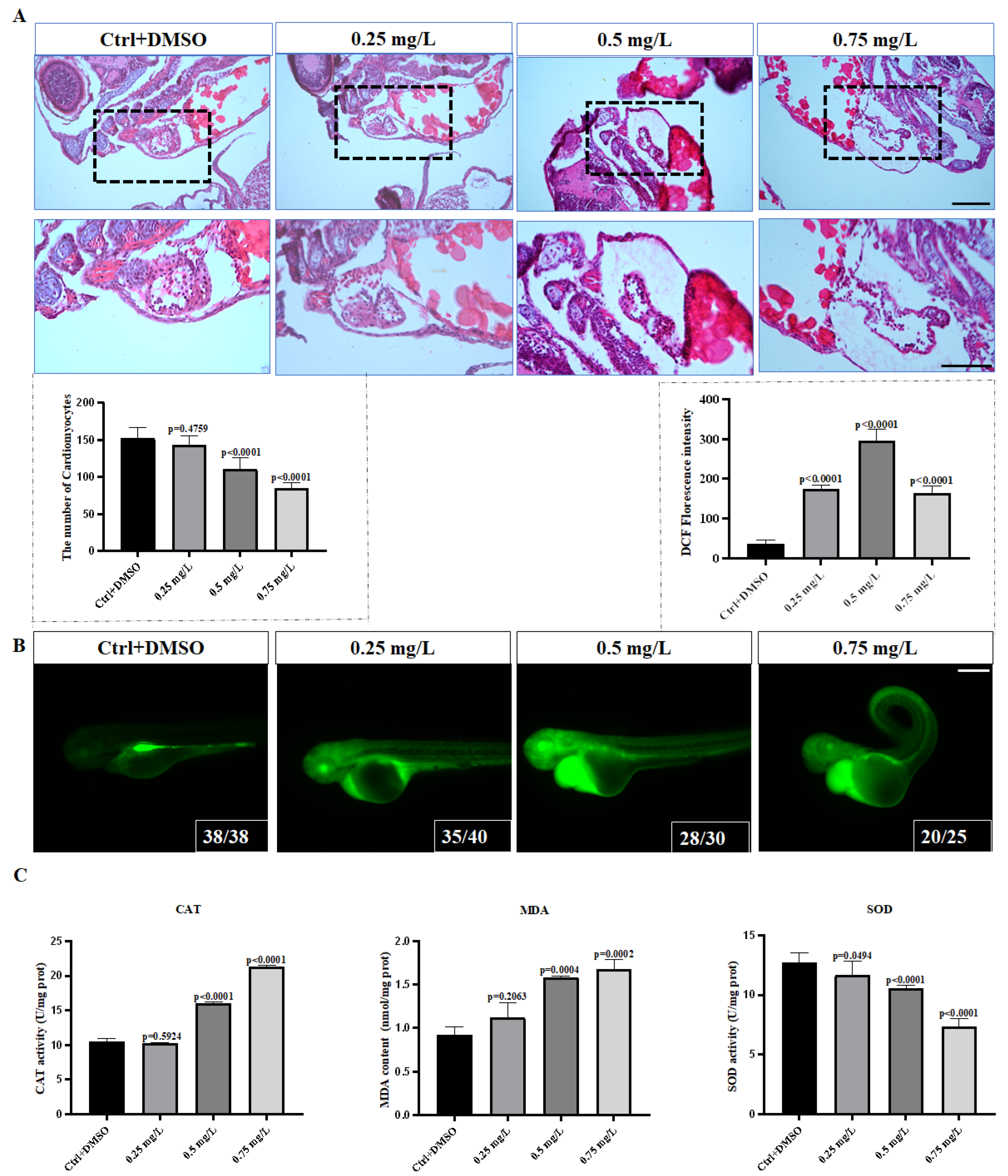 Toxics 10 00299 g002 Toxics 10 00299 g002