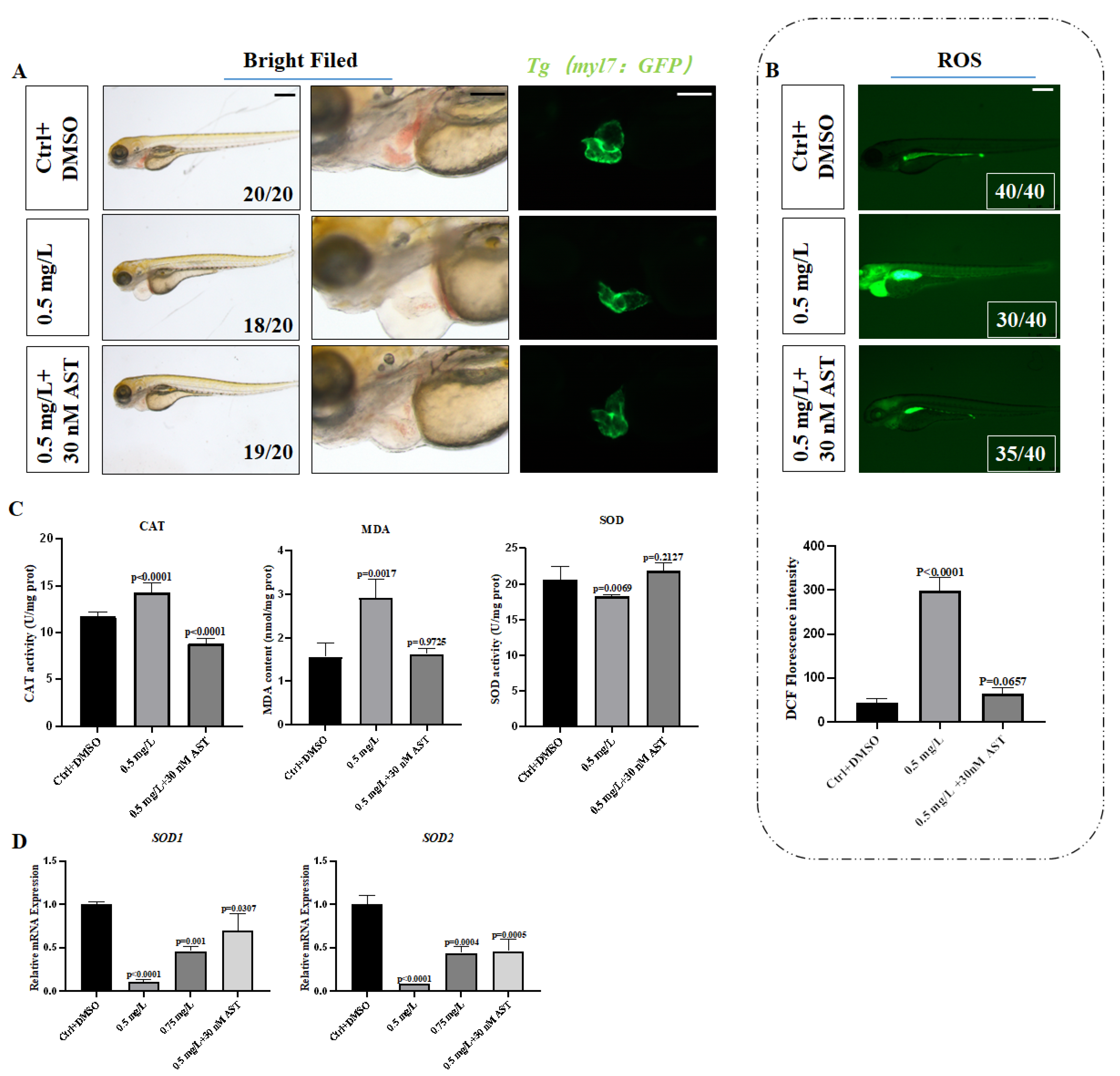 Toxics 10 00299 g004 Toxics 10 00299 g004