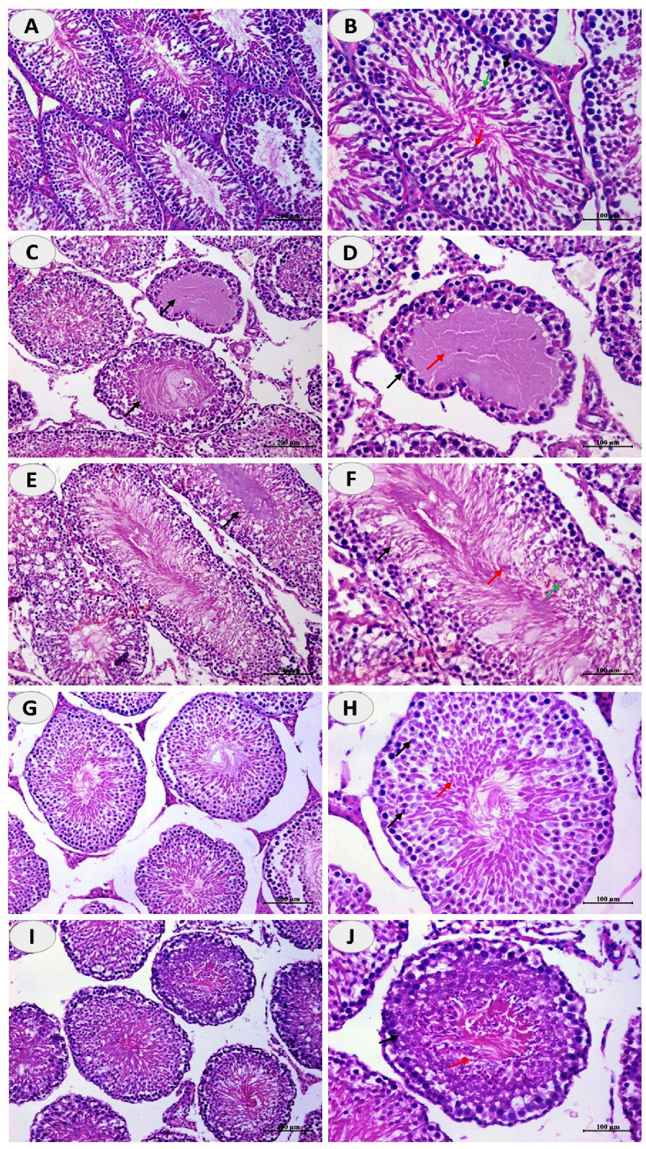 Toxics 10 00356 g002