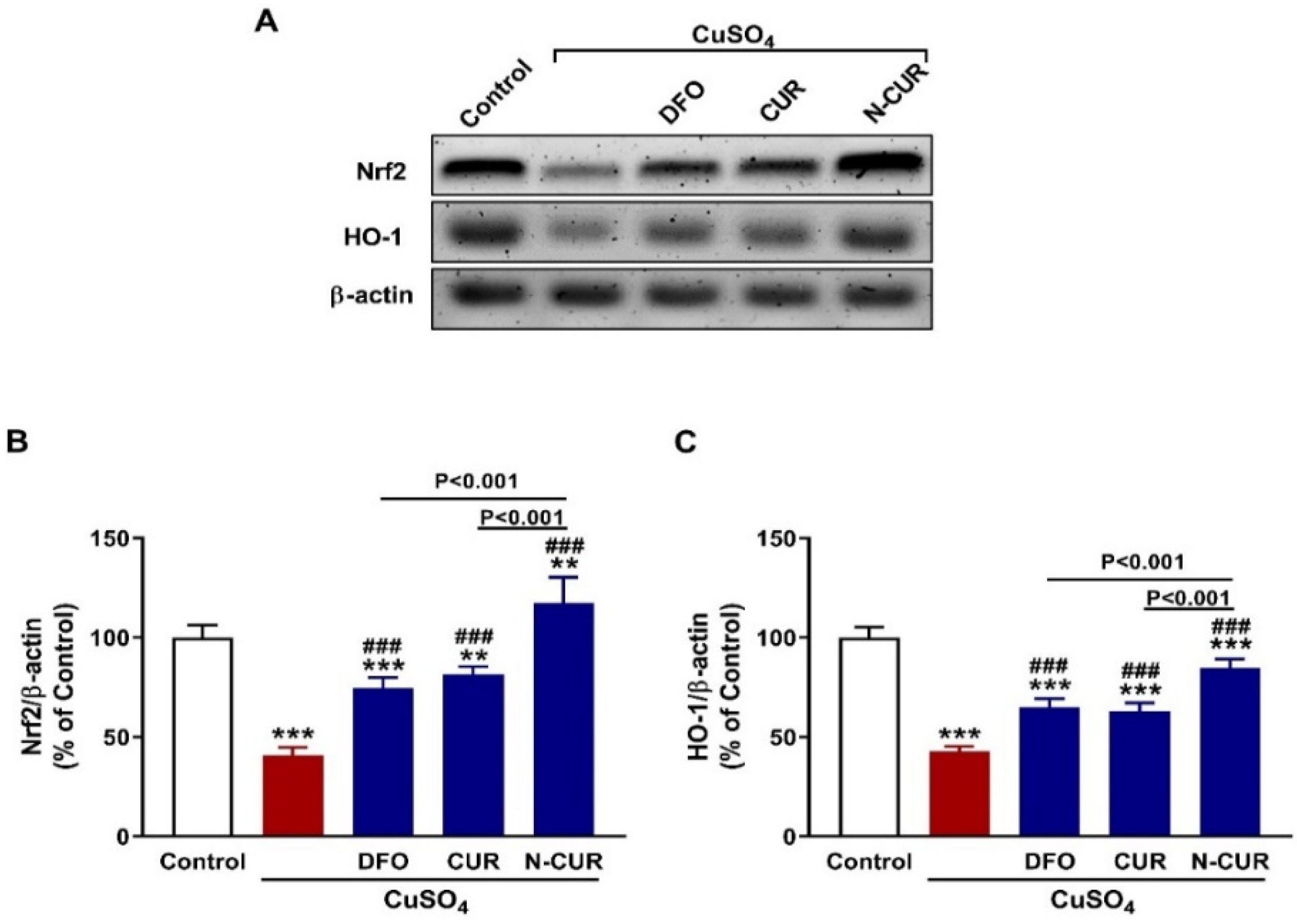 Toxics 10 00356 g005