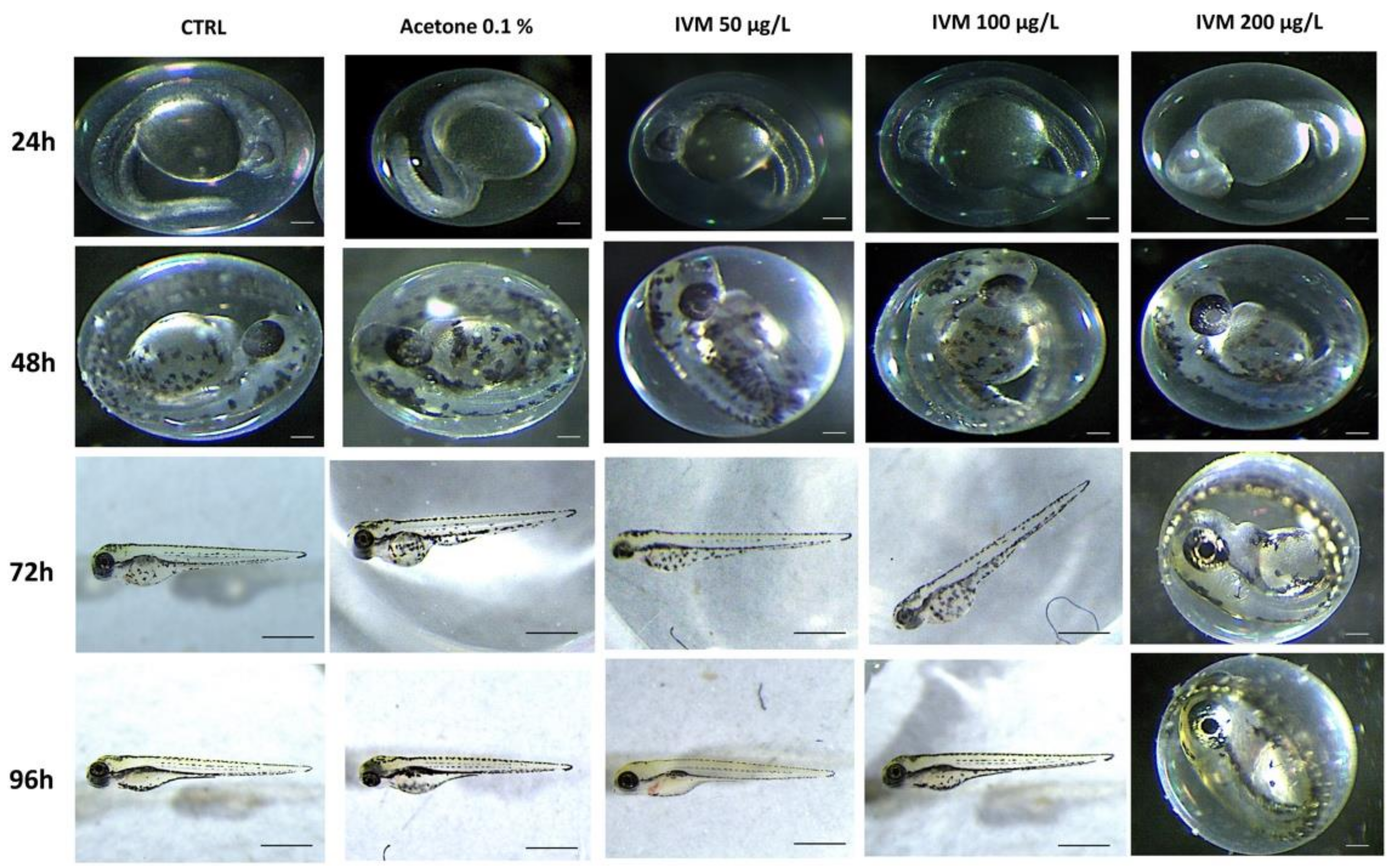 Toxics 10 00388 g002
