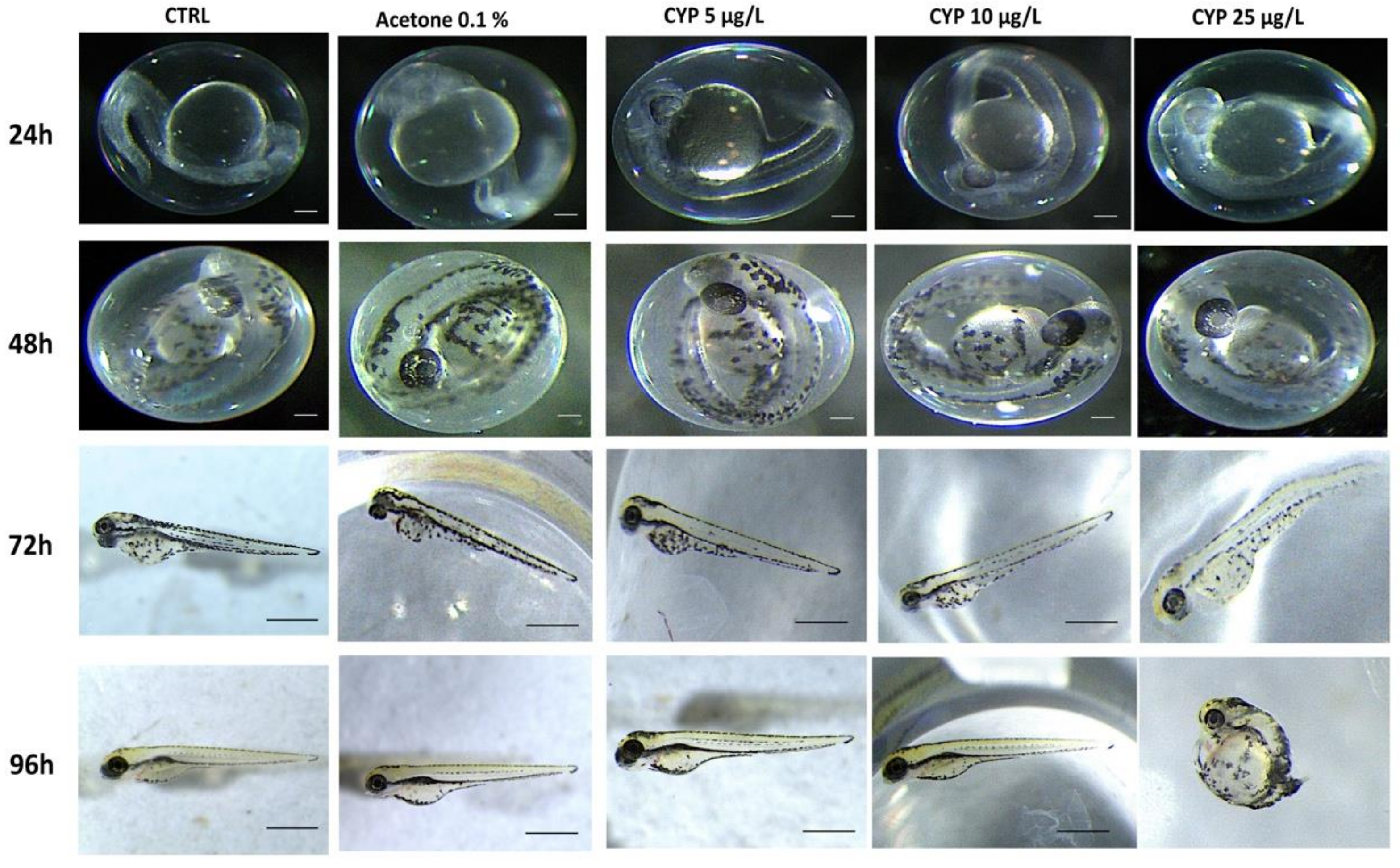 Toxics 10 00388 g003