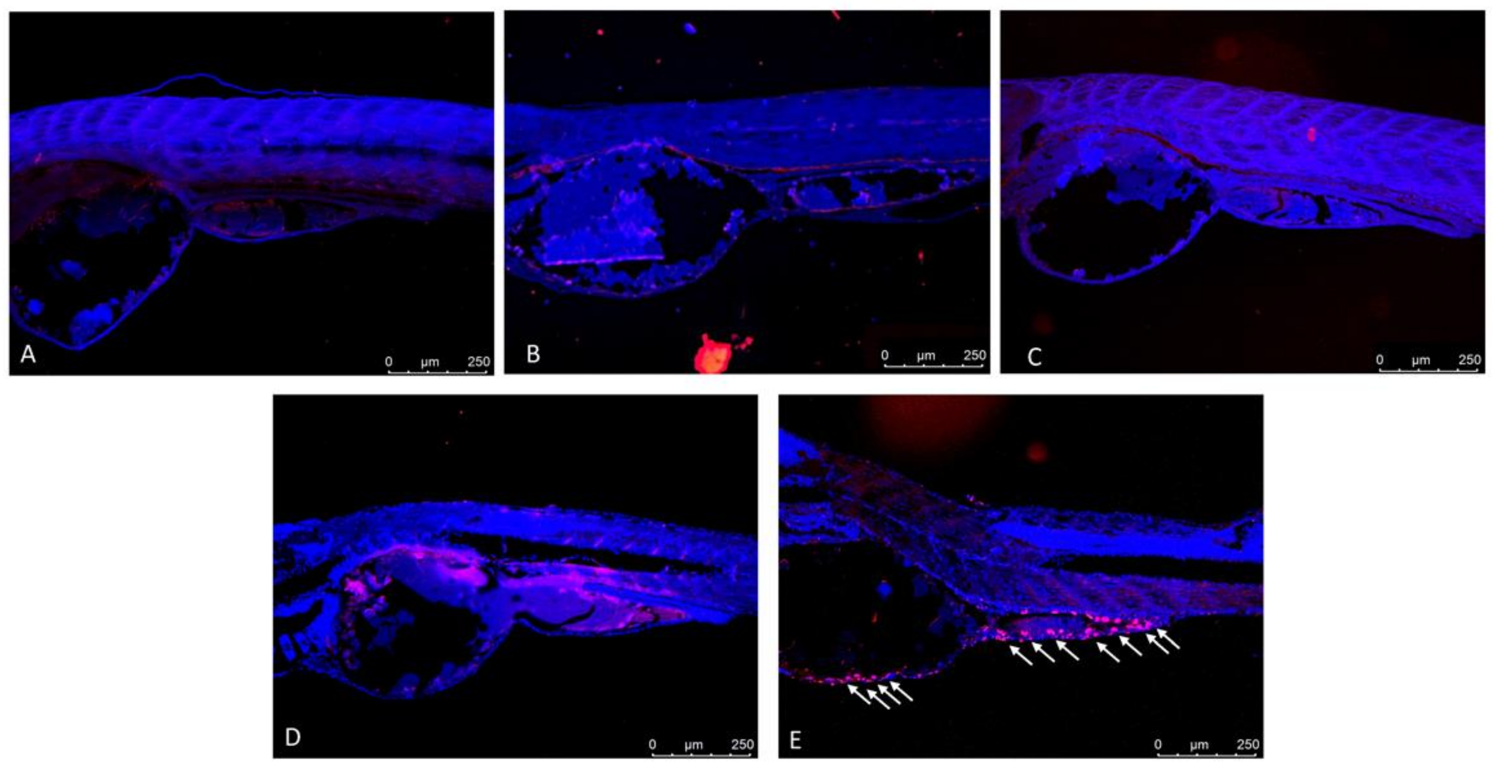 Toxics 10 00388 g006