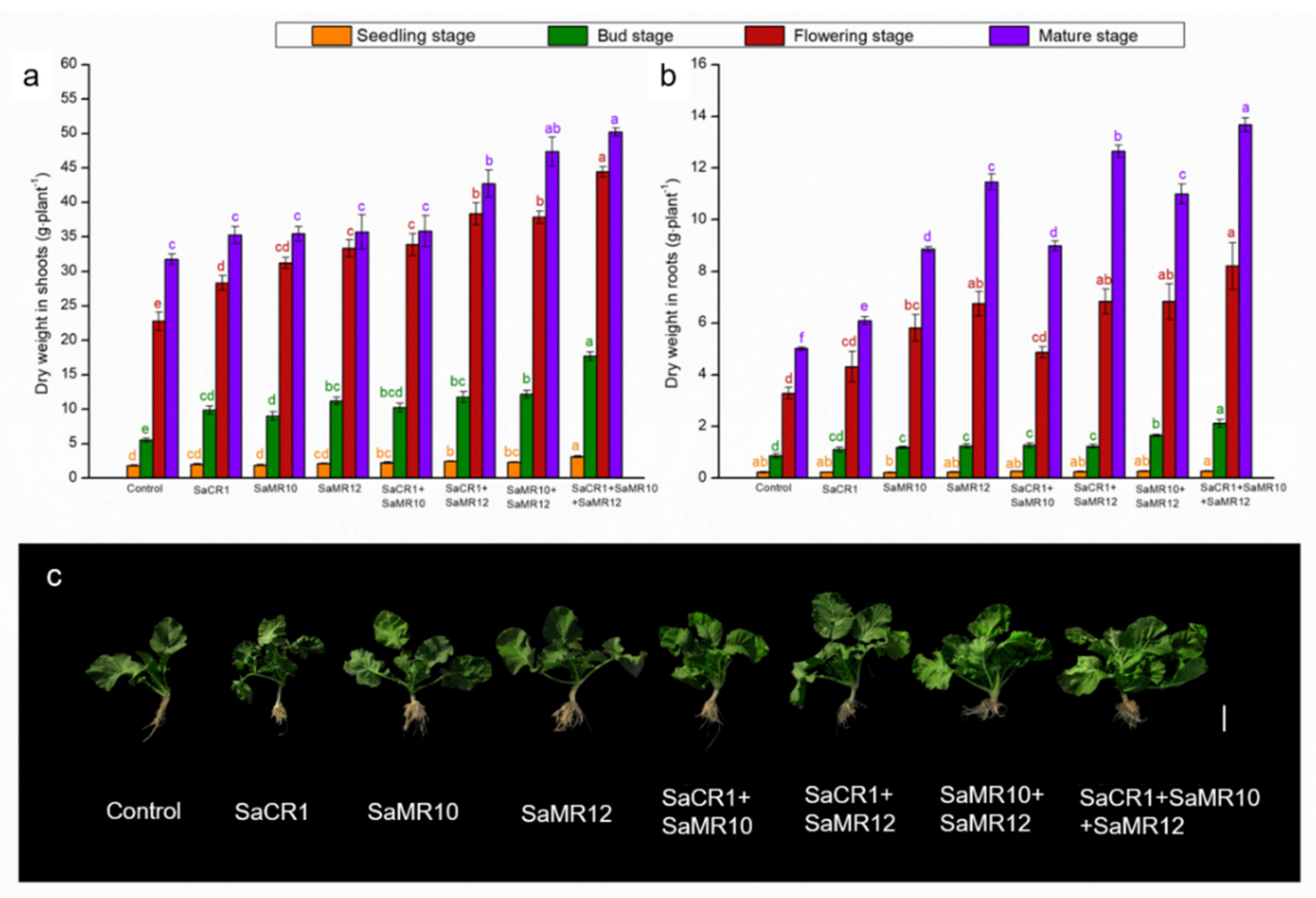 Toxics 10 00396 g002