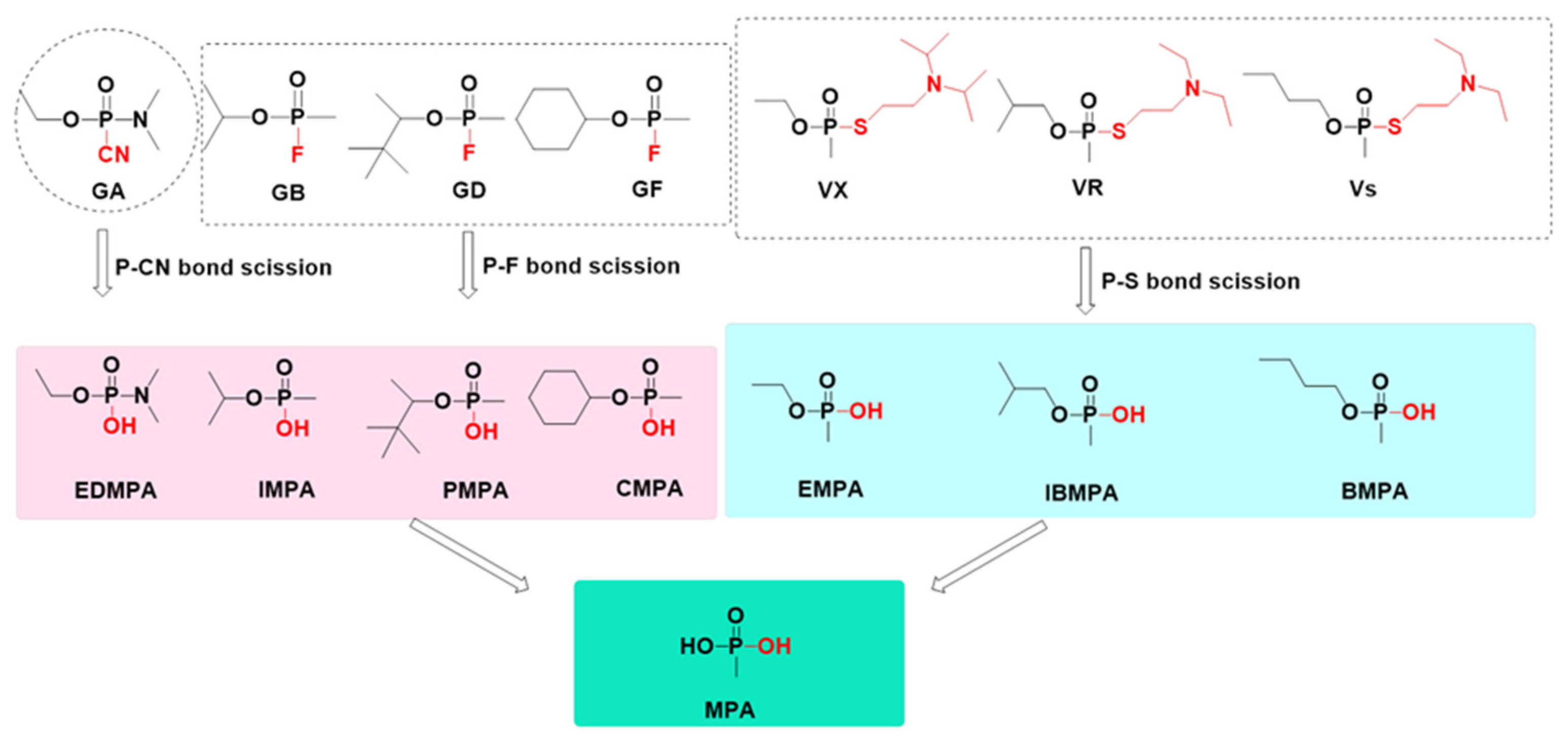 Toxics 10 00439 g002 Toxics 10 00439 g002