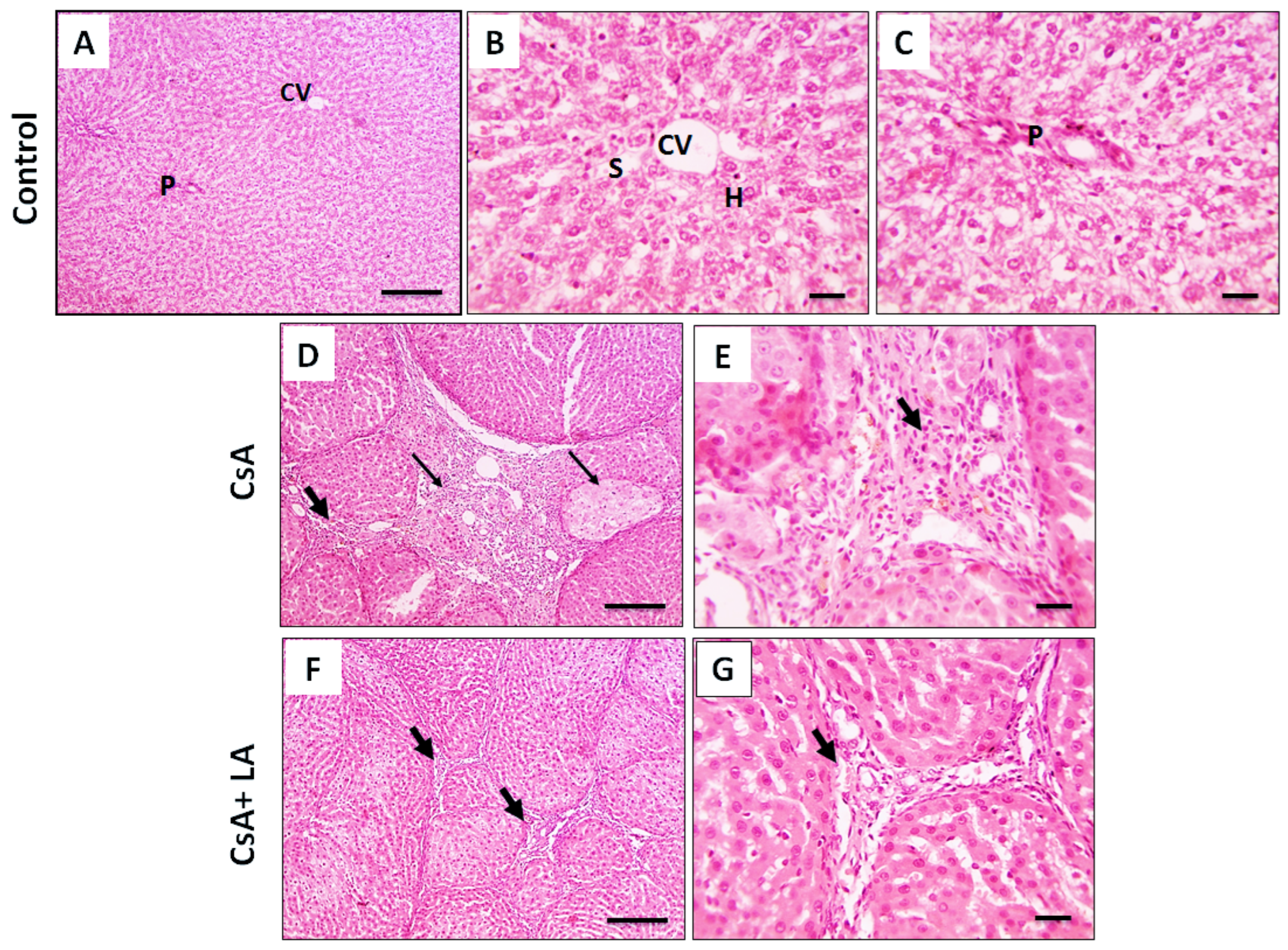 Toxics 10 00442 g001
