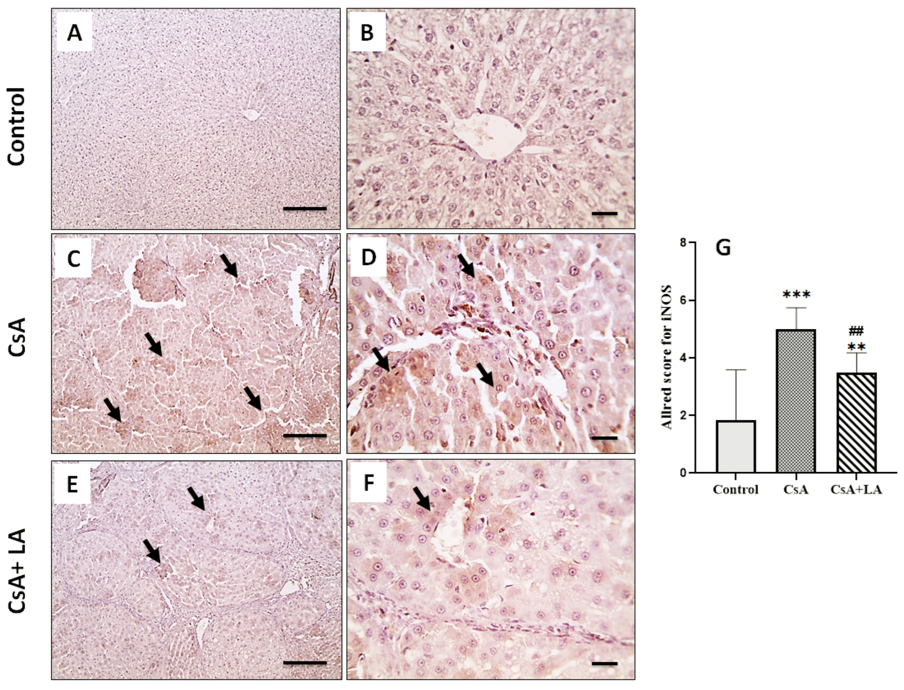 Toxics 10 00442 g006