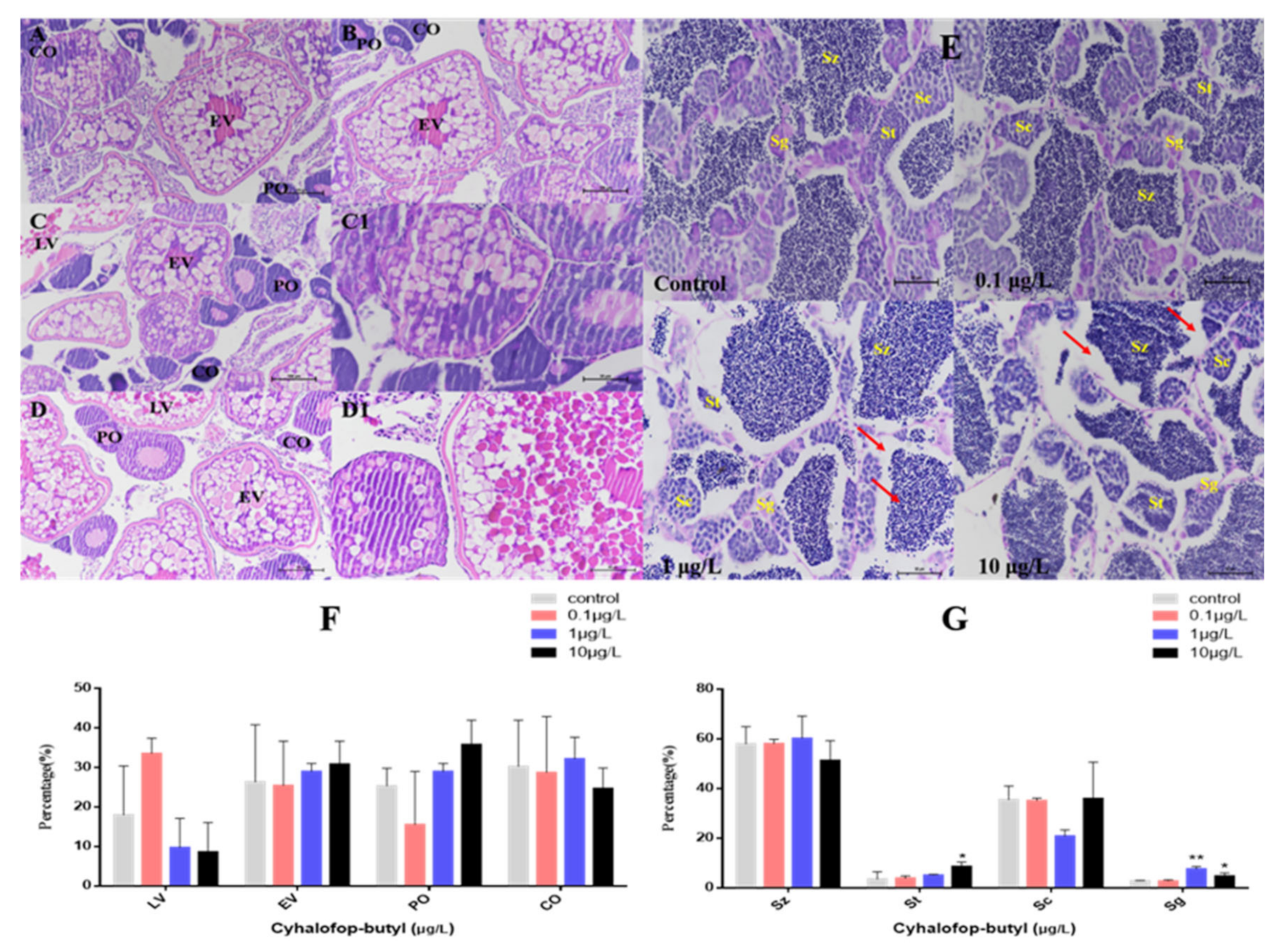 Toxics 10 00495 g003 Toxics 10 00495 g003