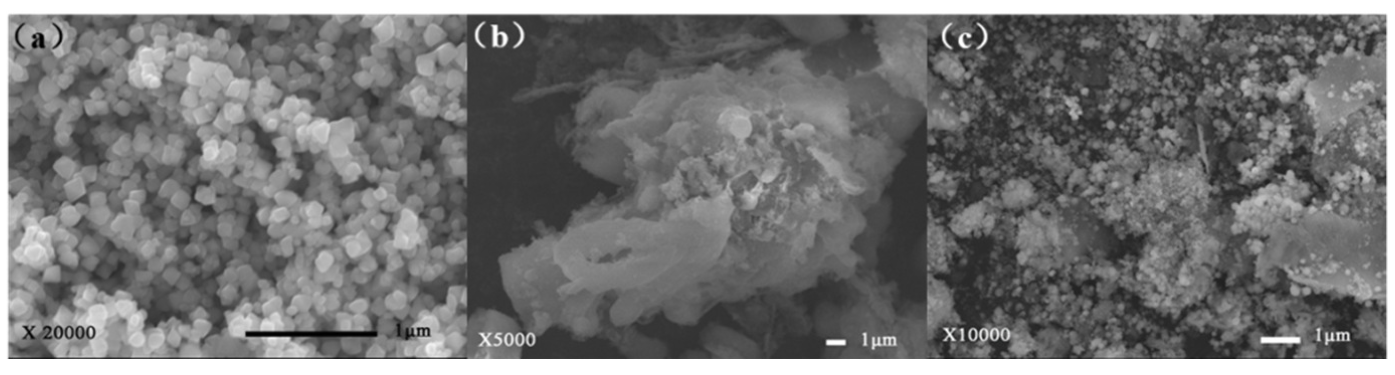 Toxics 10 00505 g003