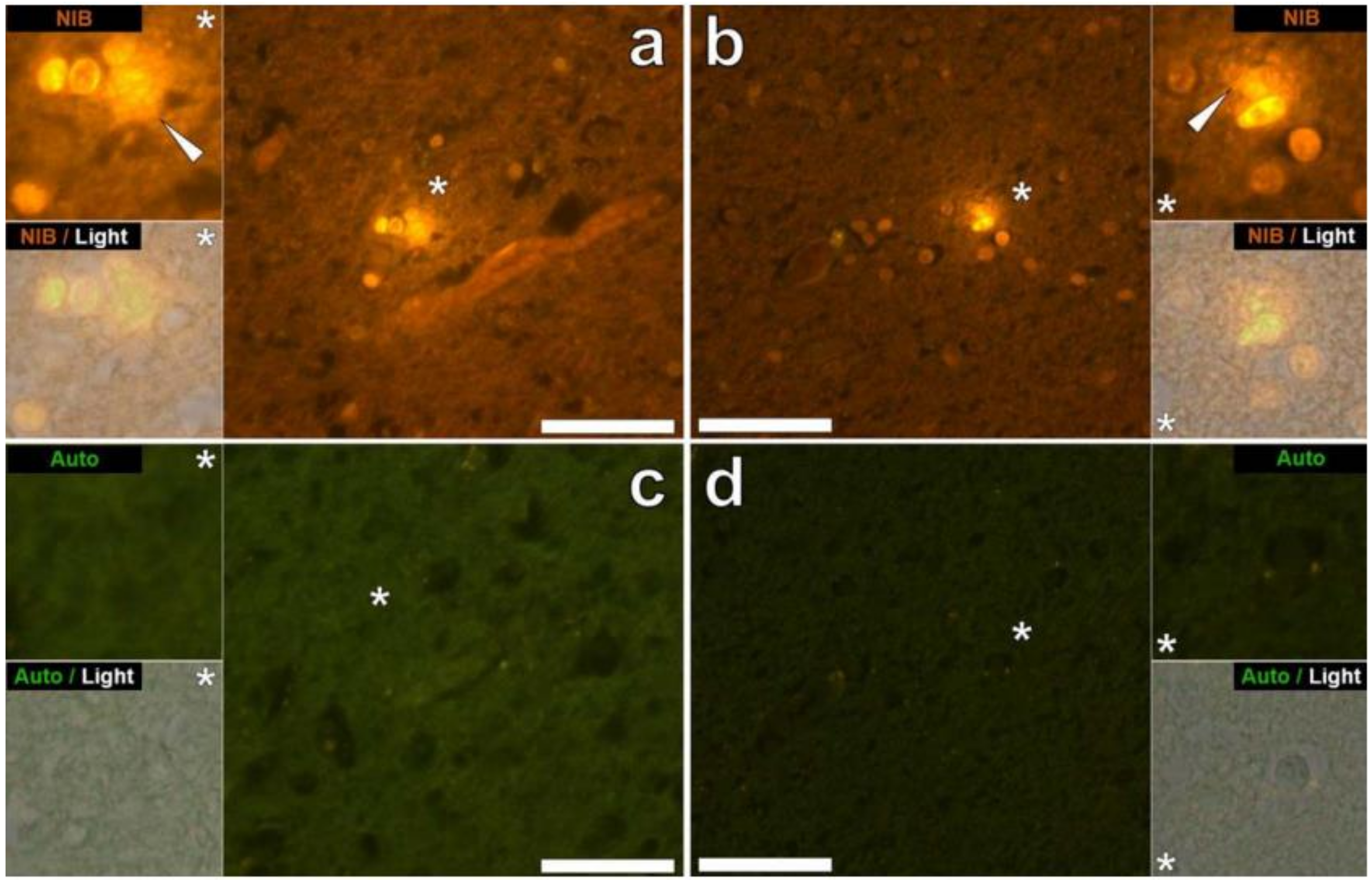 Toxics 10 00518 g003 Toxics 10 00518 g003