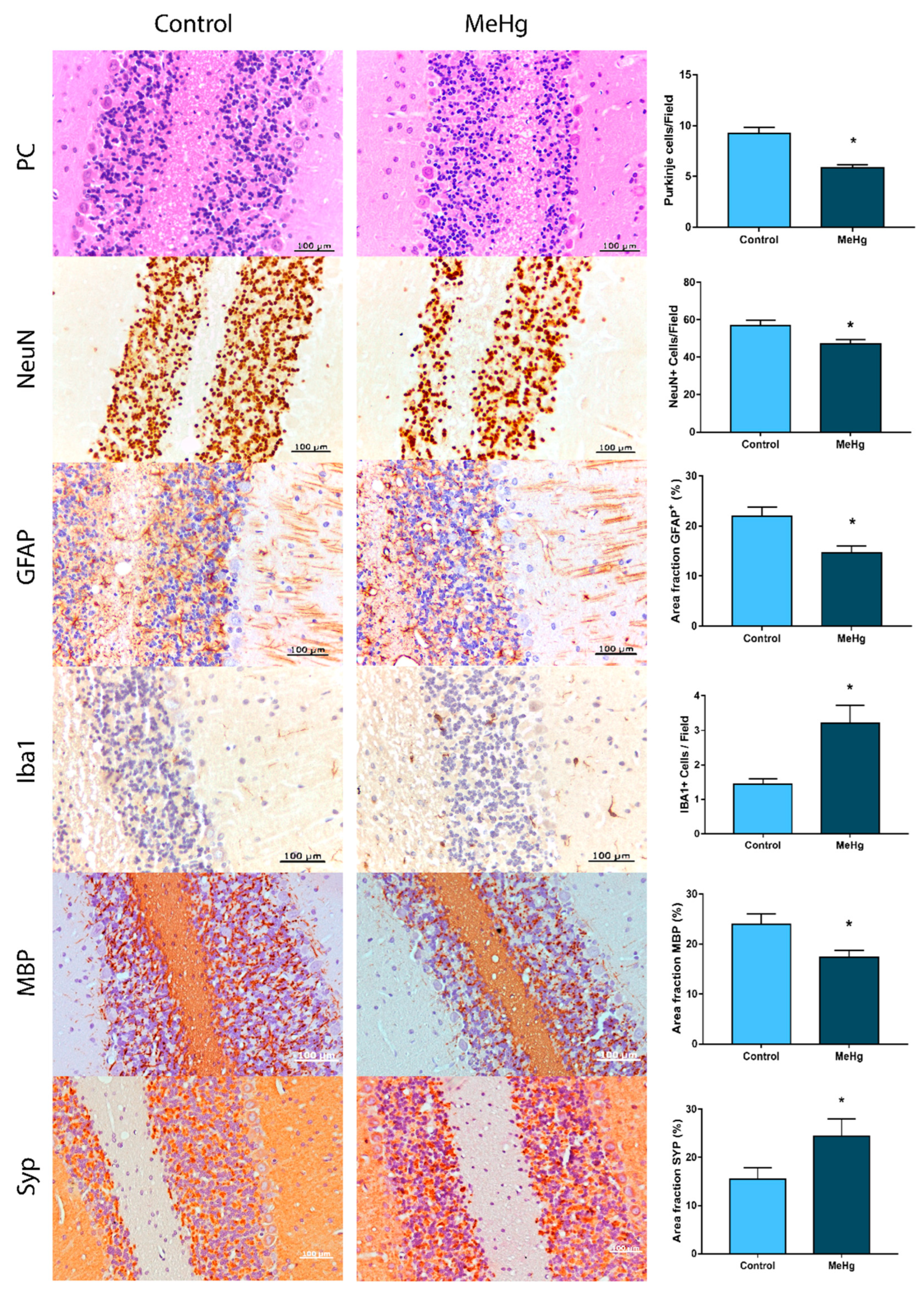 Toxics 10 00531 g005