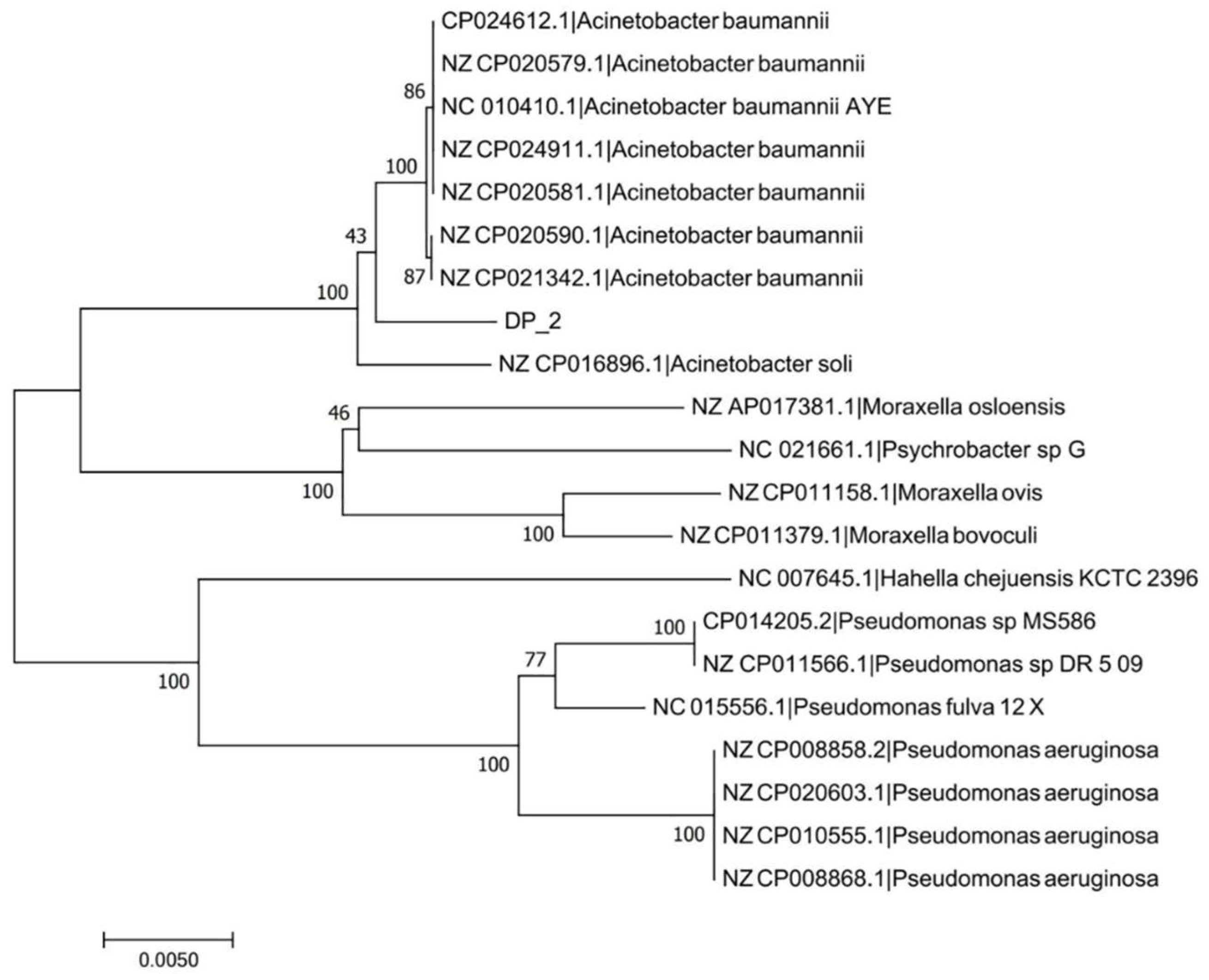 Toxics 10 00532 g002