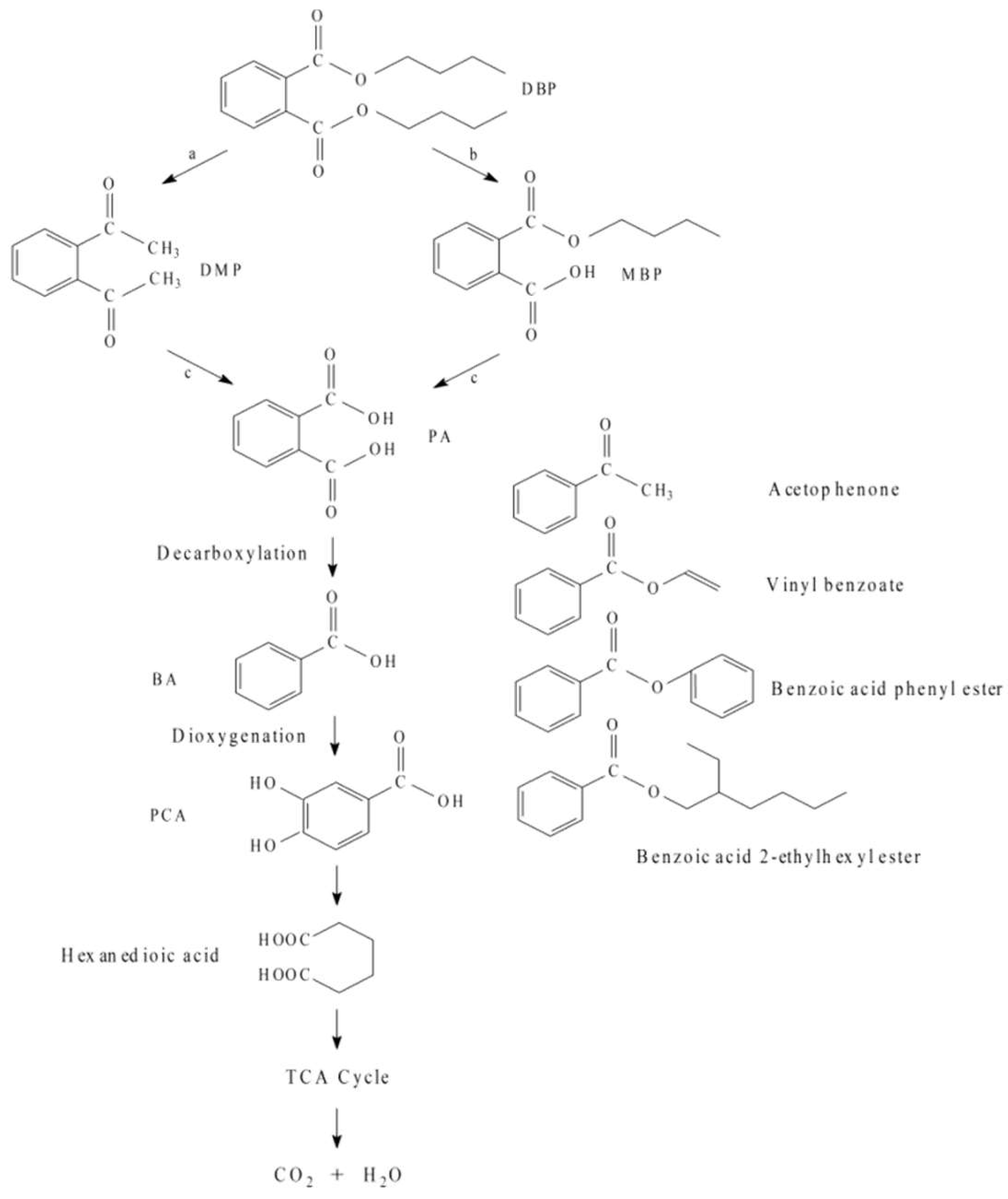 Toxics 10 00532 g005