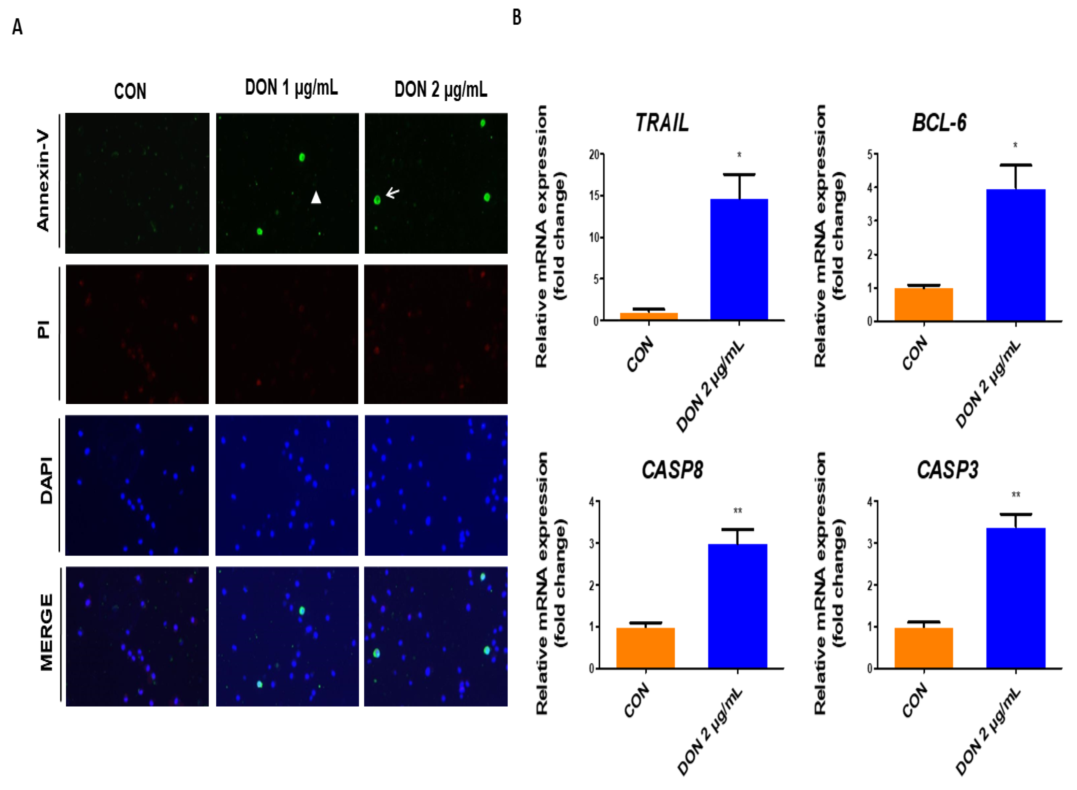 Toxics 10 00535 g003