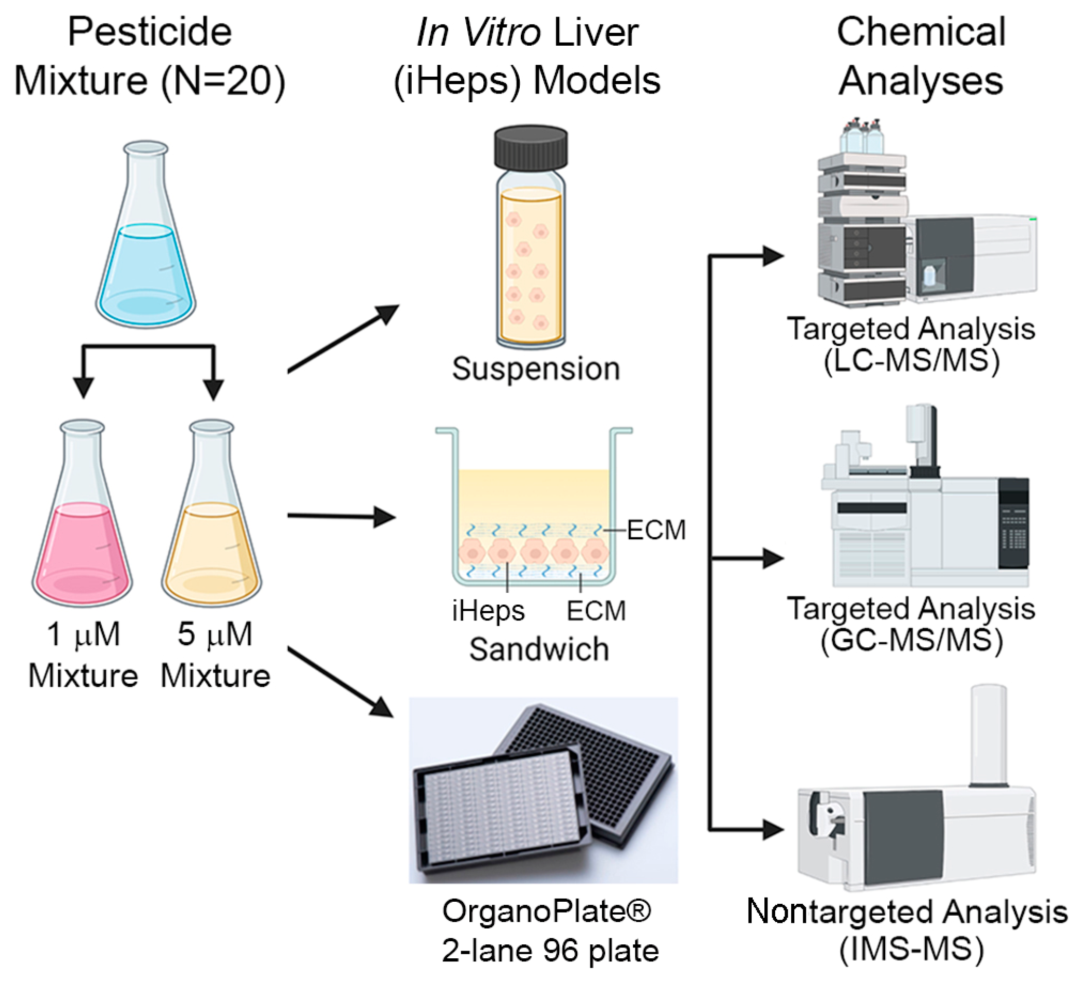 Yuki Saito LAB: CMOP-E