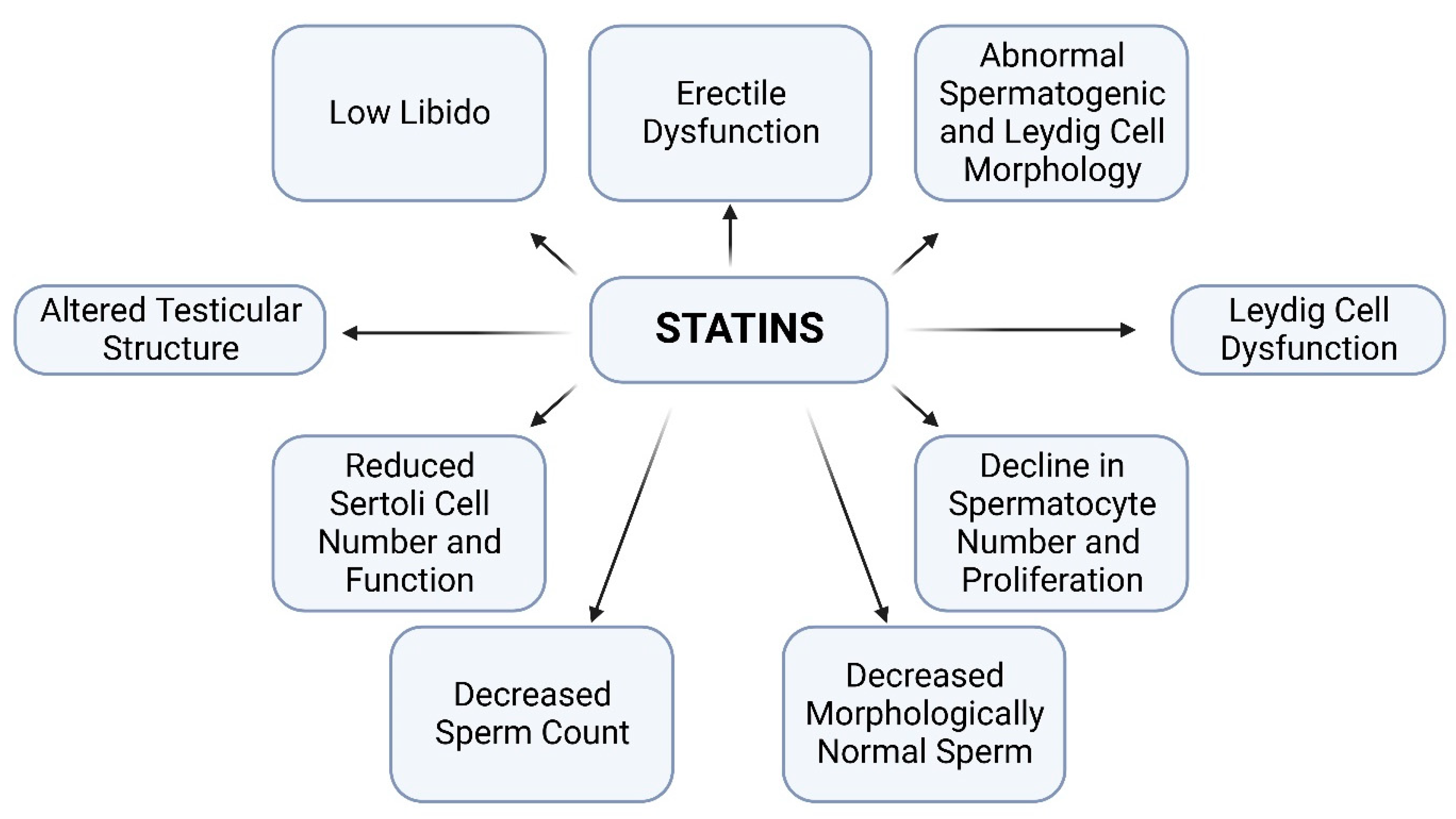 Toxics Free Full Text Statins and Male Fertility Is There a