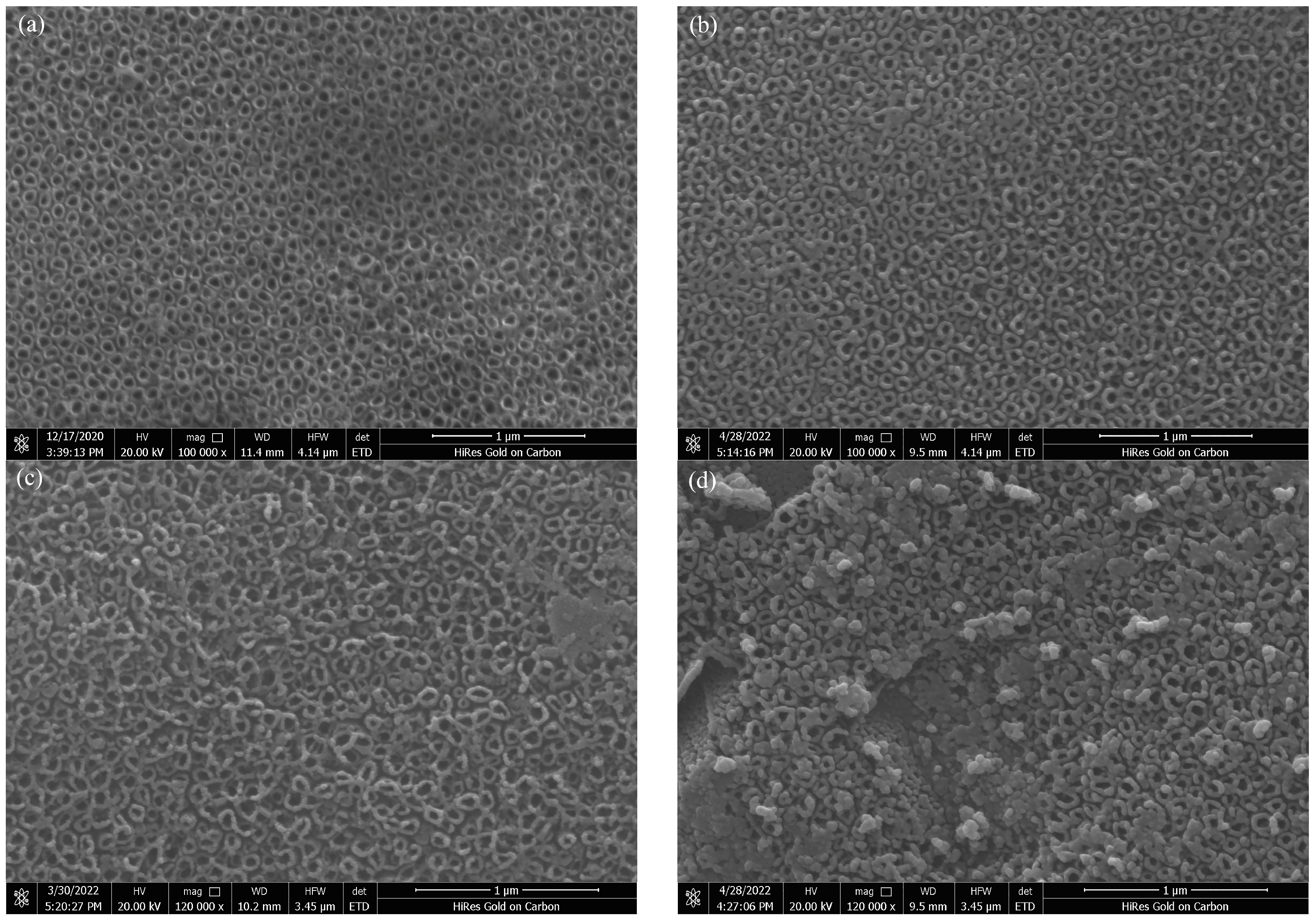 Toxics 10 00635 g001 Toxics 10 00635 g001