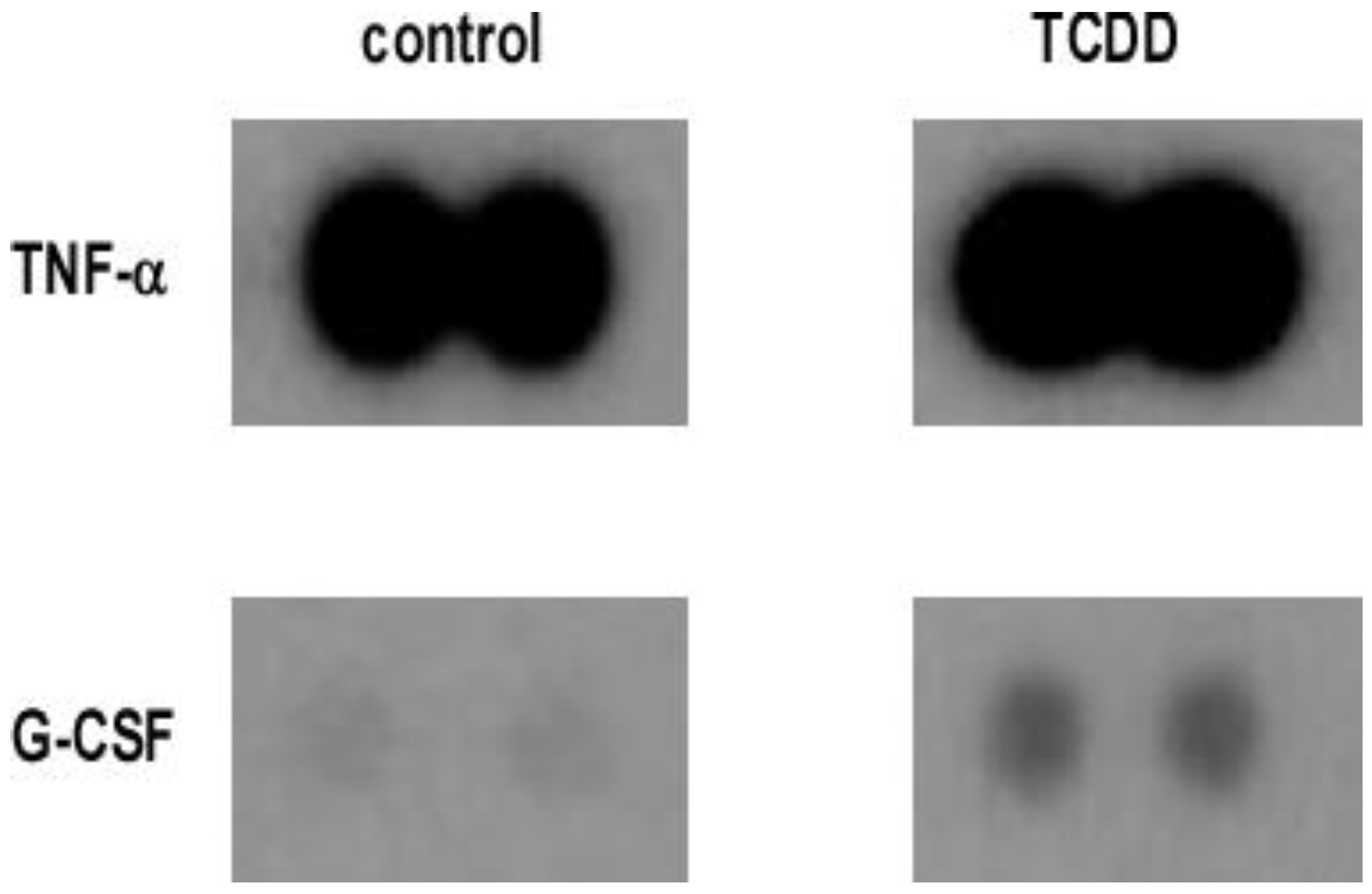 Toxics 10 00642 g001 Toxics 10 00642 g001