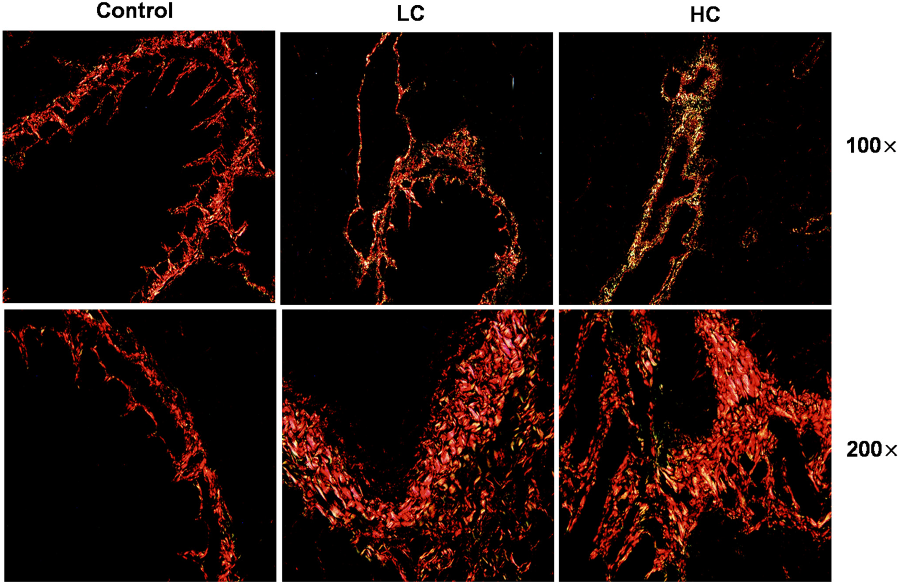 Toxics 10 00647 g001 Toxics 10 00647 g001