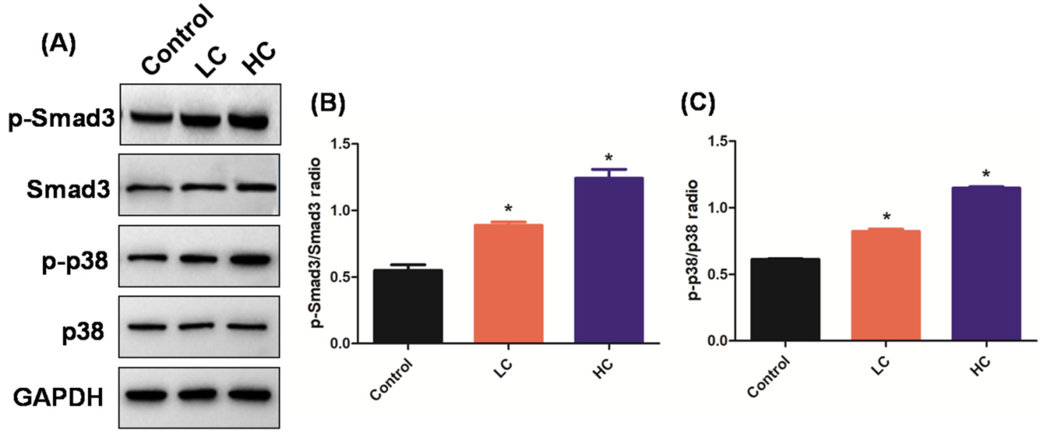 Toxics 10 00647 g003 Toxics 10 00647 g003