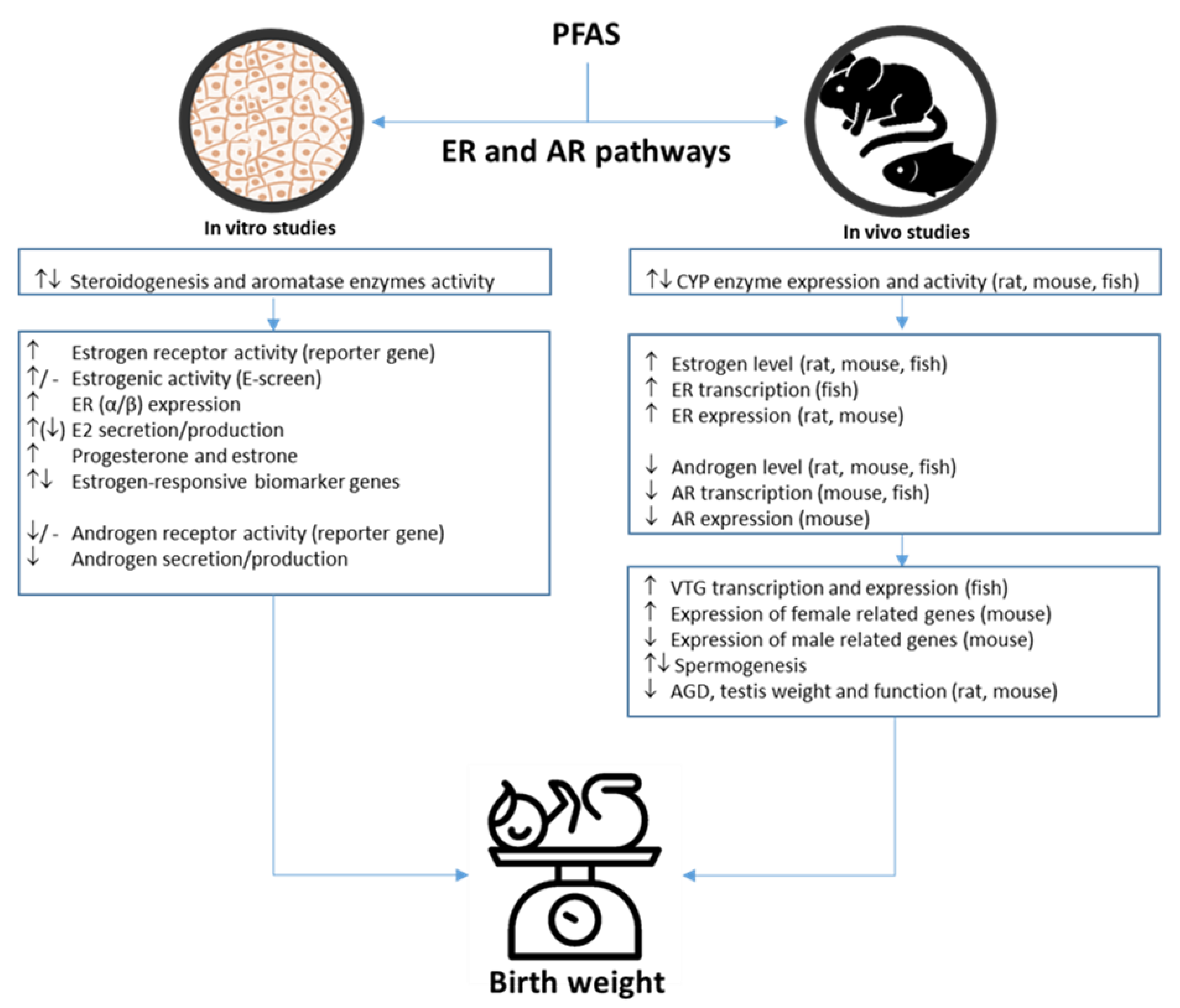 Toxics 10 00684 g004 Toxics 10 00684 g004