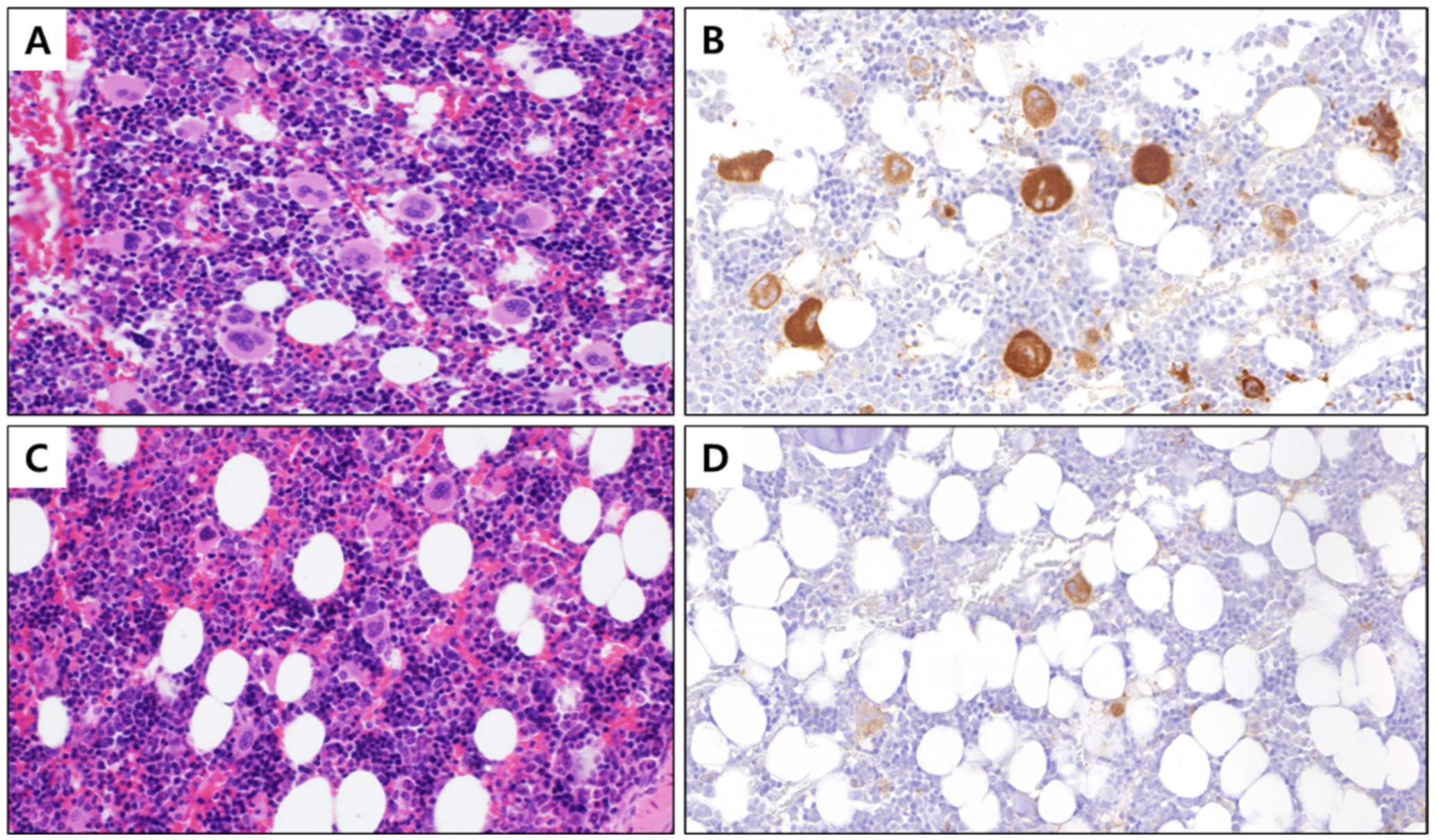Toxics 10 00694 g001 Toxics 10 00694 g001