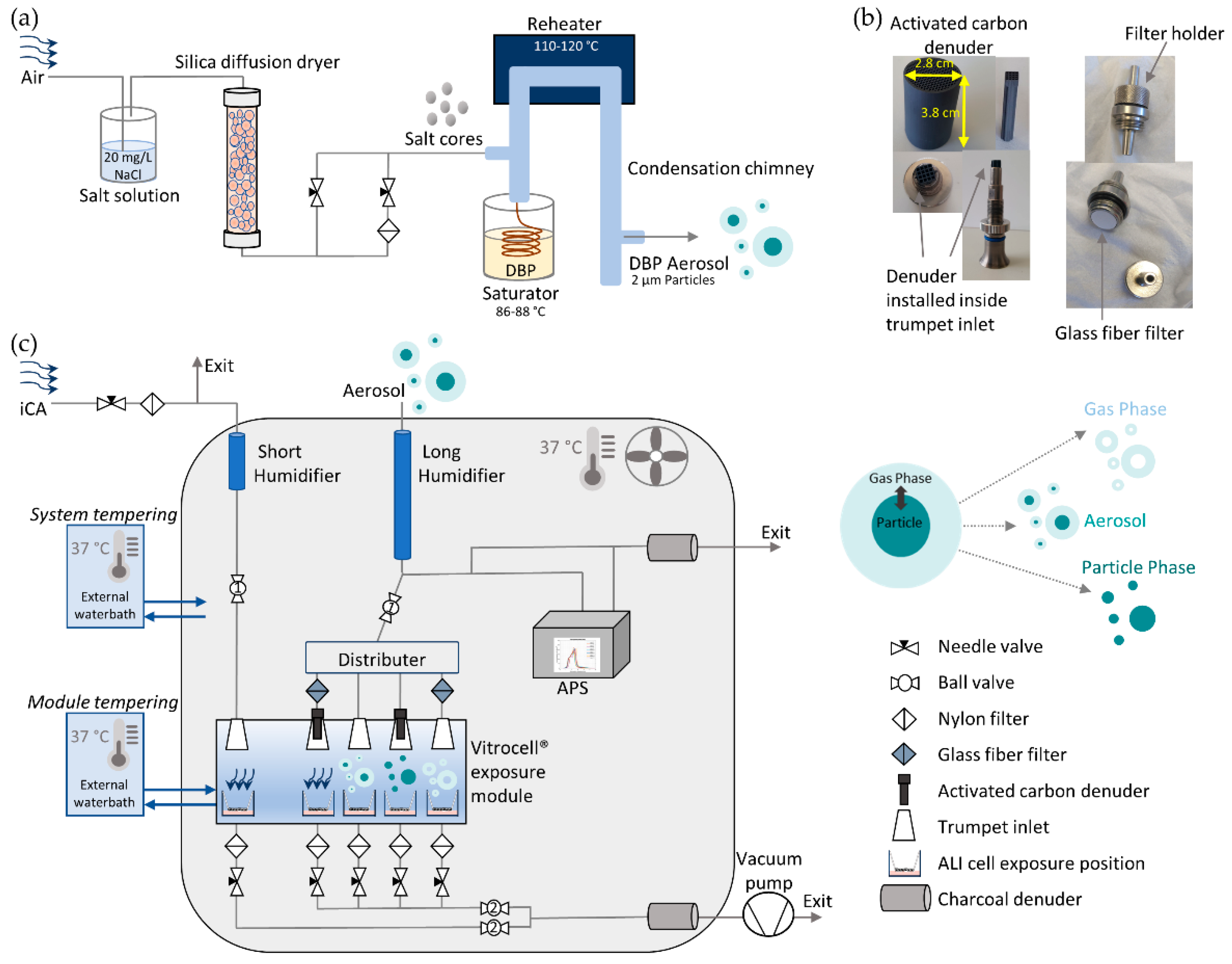 Toxics | Free Full-Text | Construction of an In Vitro Air&ndash;Liquid  Interface Exposure System to Assess the Toxicological Impact of Gas and  Particle Phase of Semi-Volatile Organic Compounds