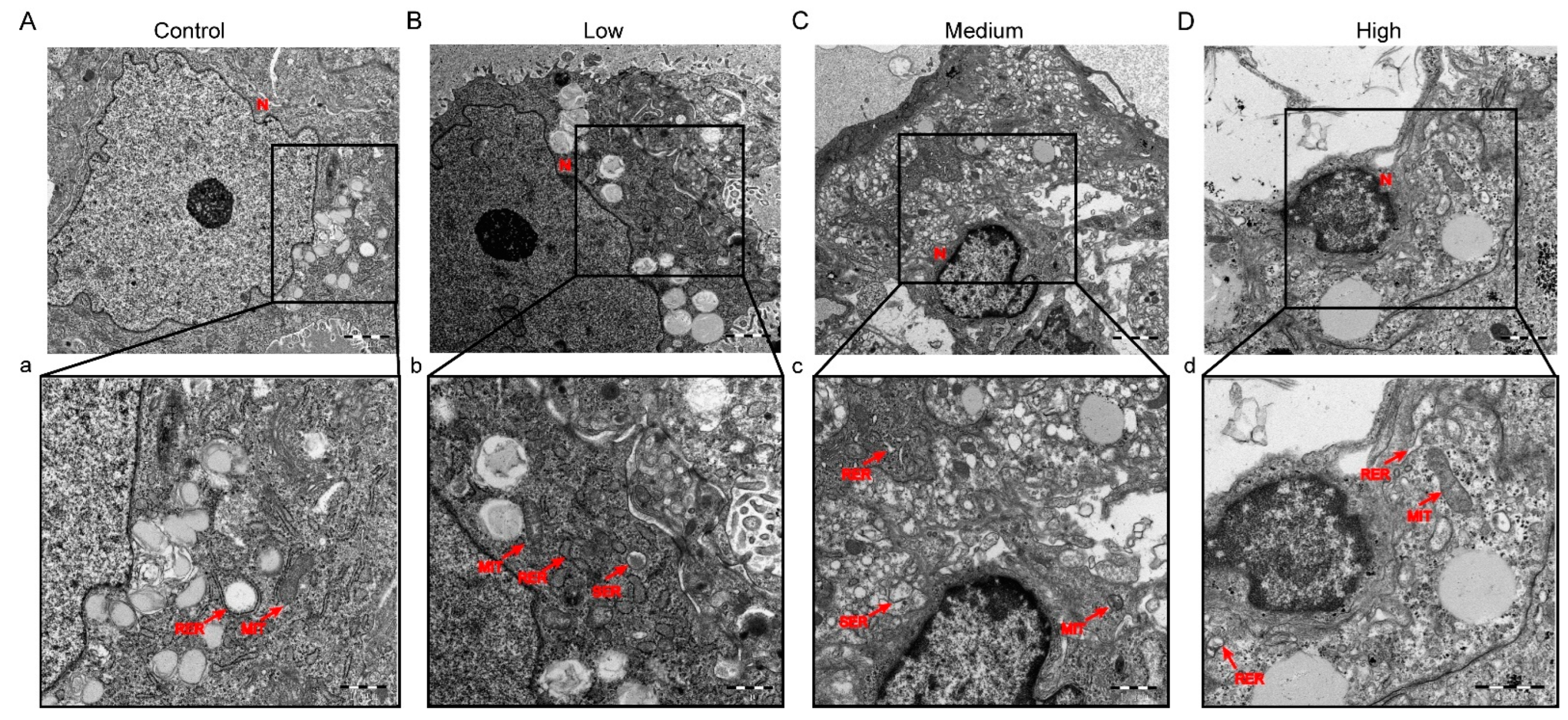 Toxics 10 00733 g003 Toxics 10 00733 g003