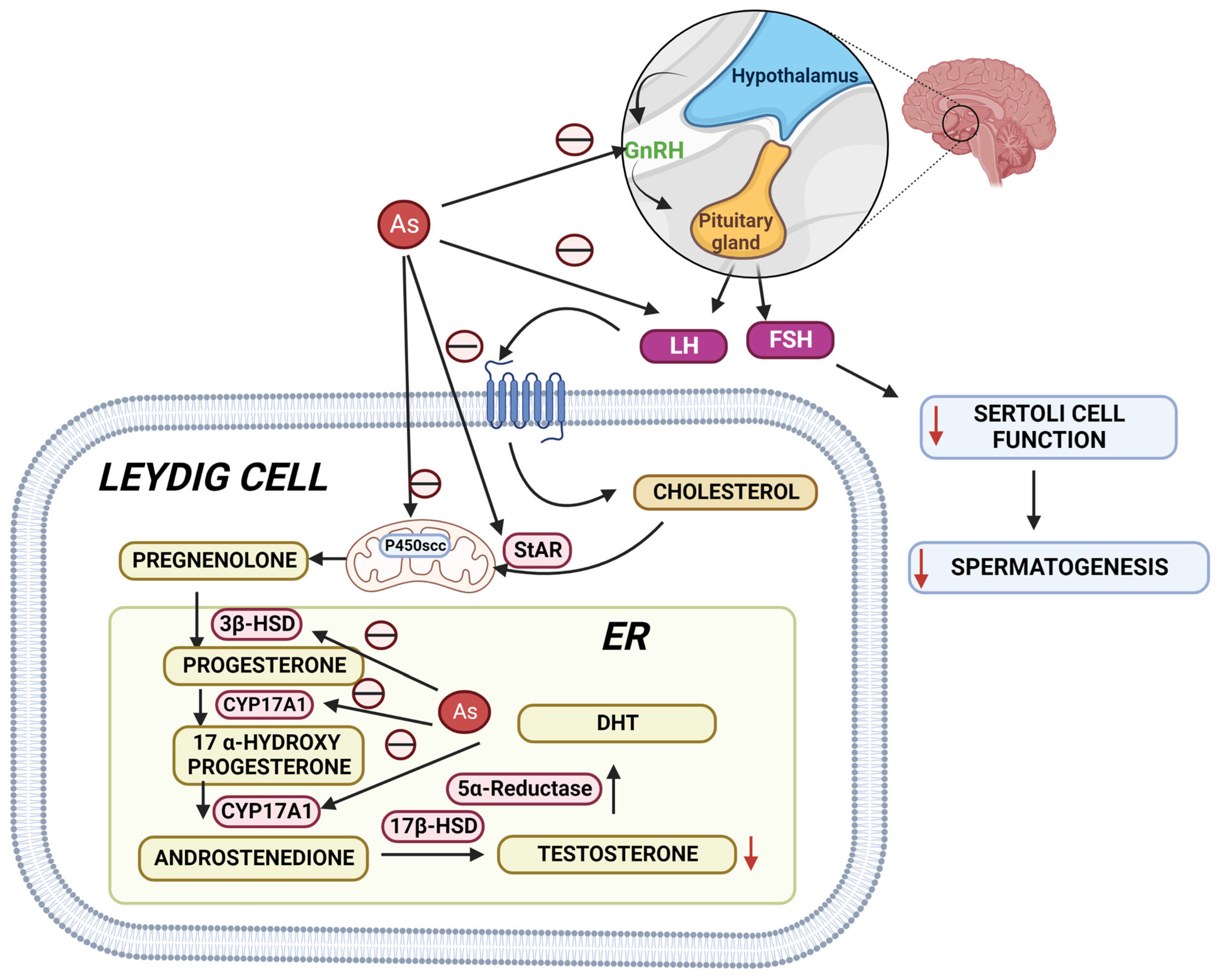 Toxics 10 00744 g003 Toxics 10 00744 g003
