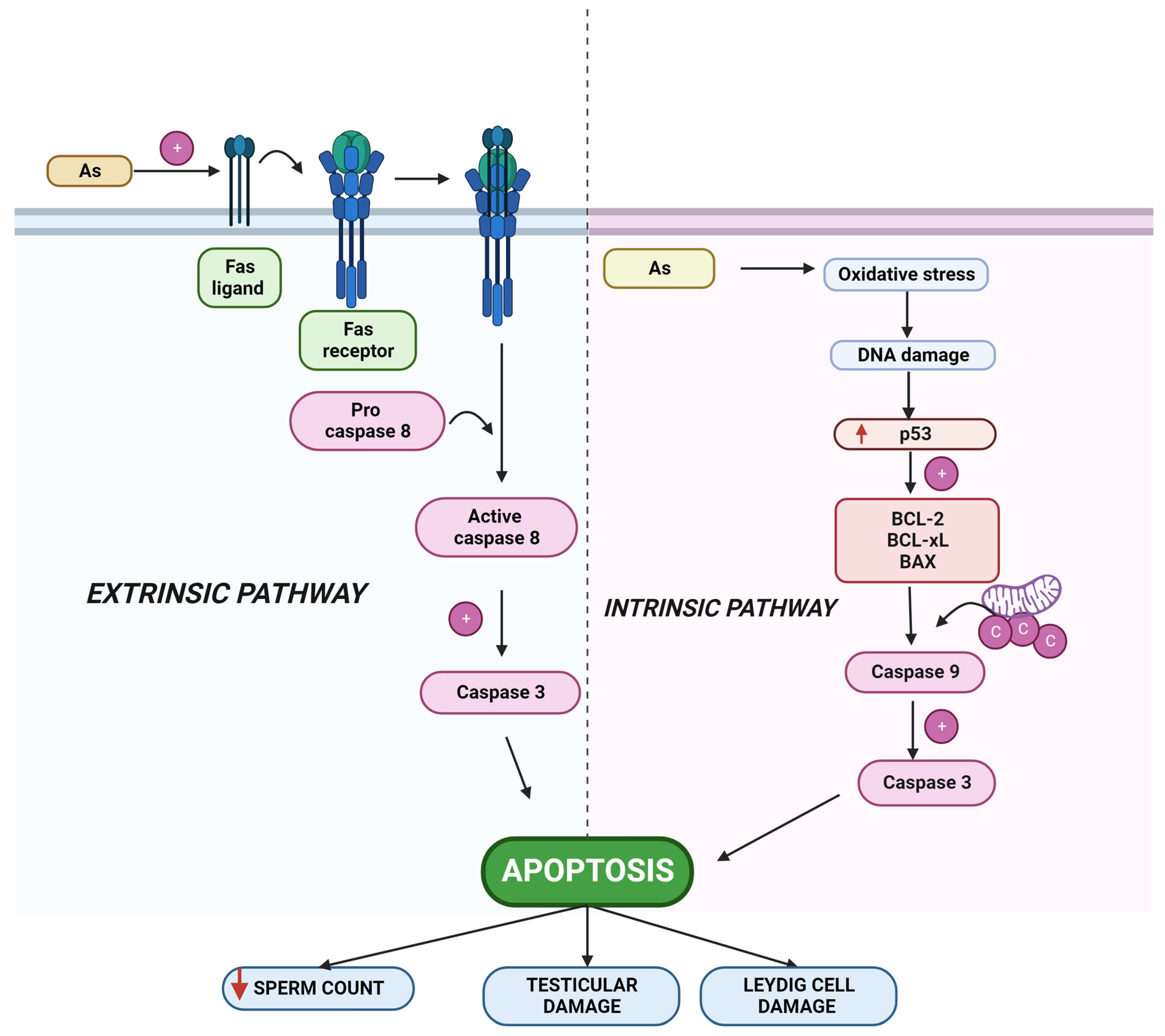 Toxics 10 00744 g004 Toxics 10 00744 g004